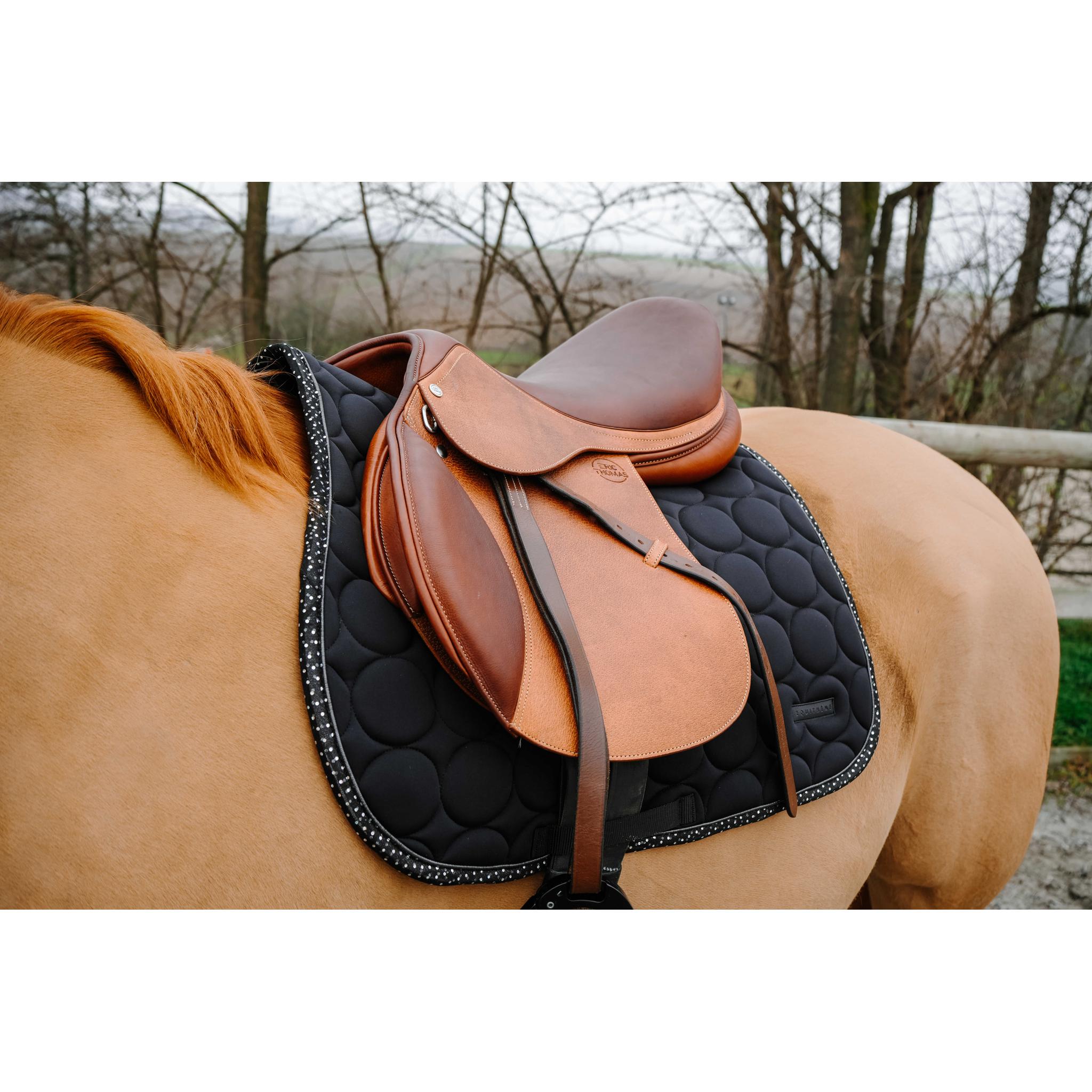 EQUITHÈME Disco All-Purpose Saddle Pad Black - 204018002_ambi_3