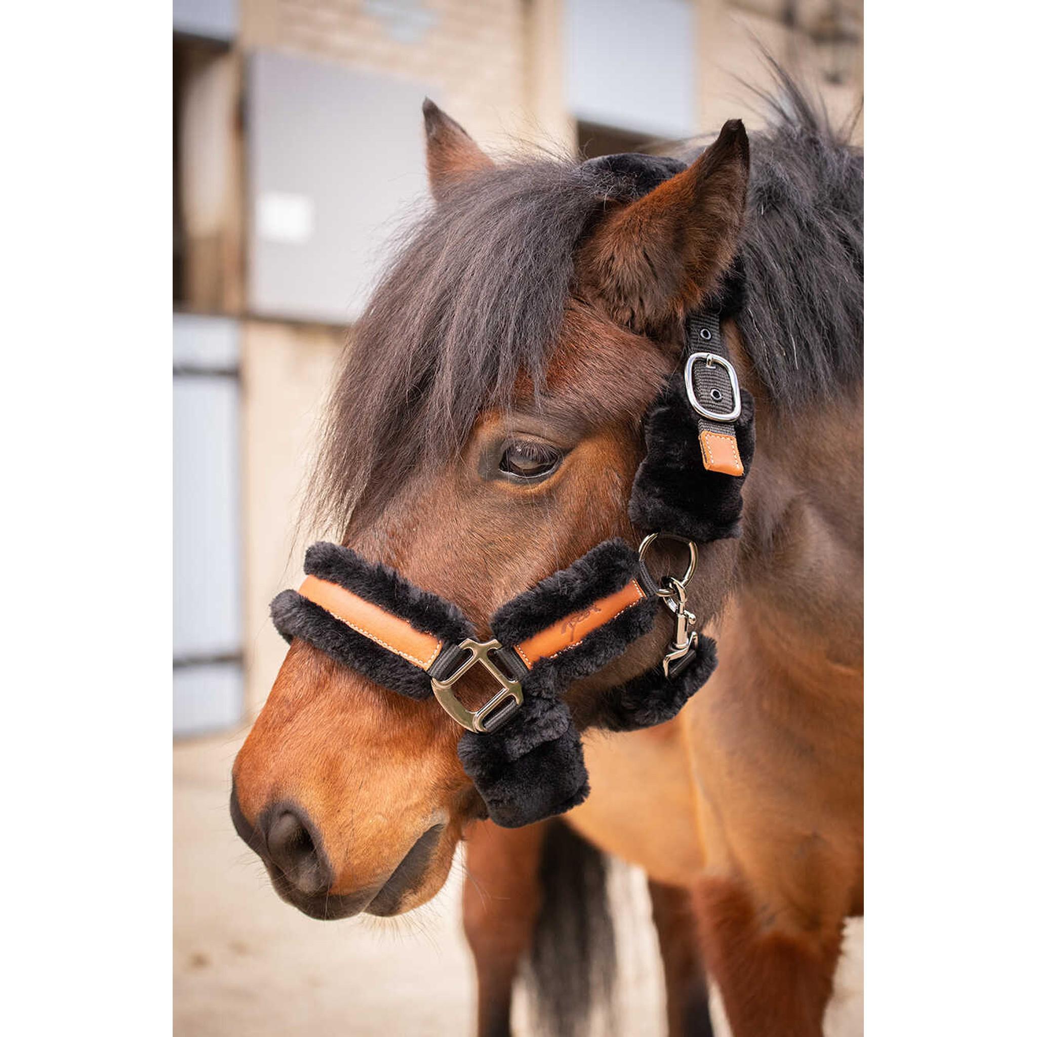 Pénélope Soft halter Black/ecru 510902025