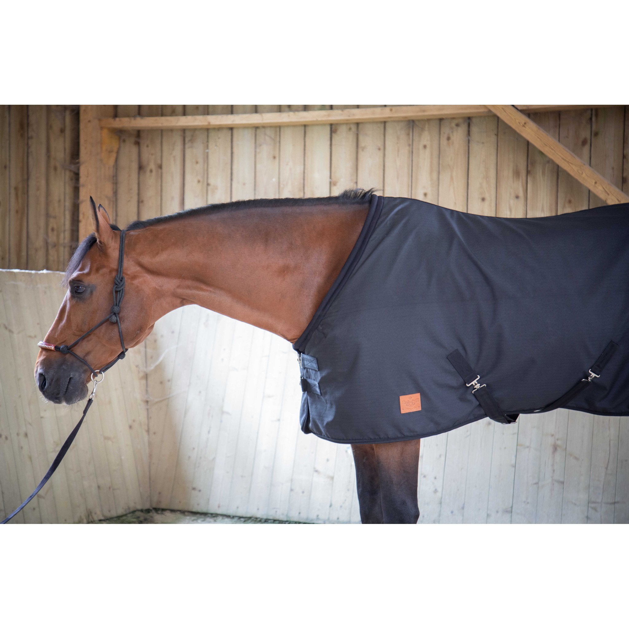 Paddock Sports Ripstop stable sheet Black 400012259