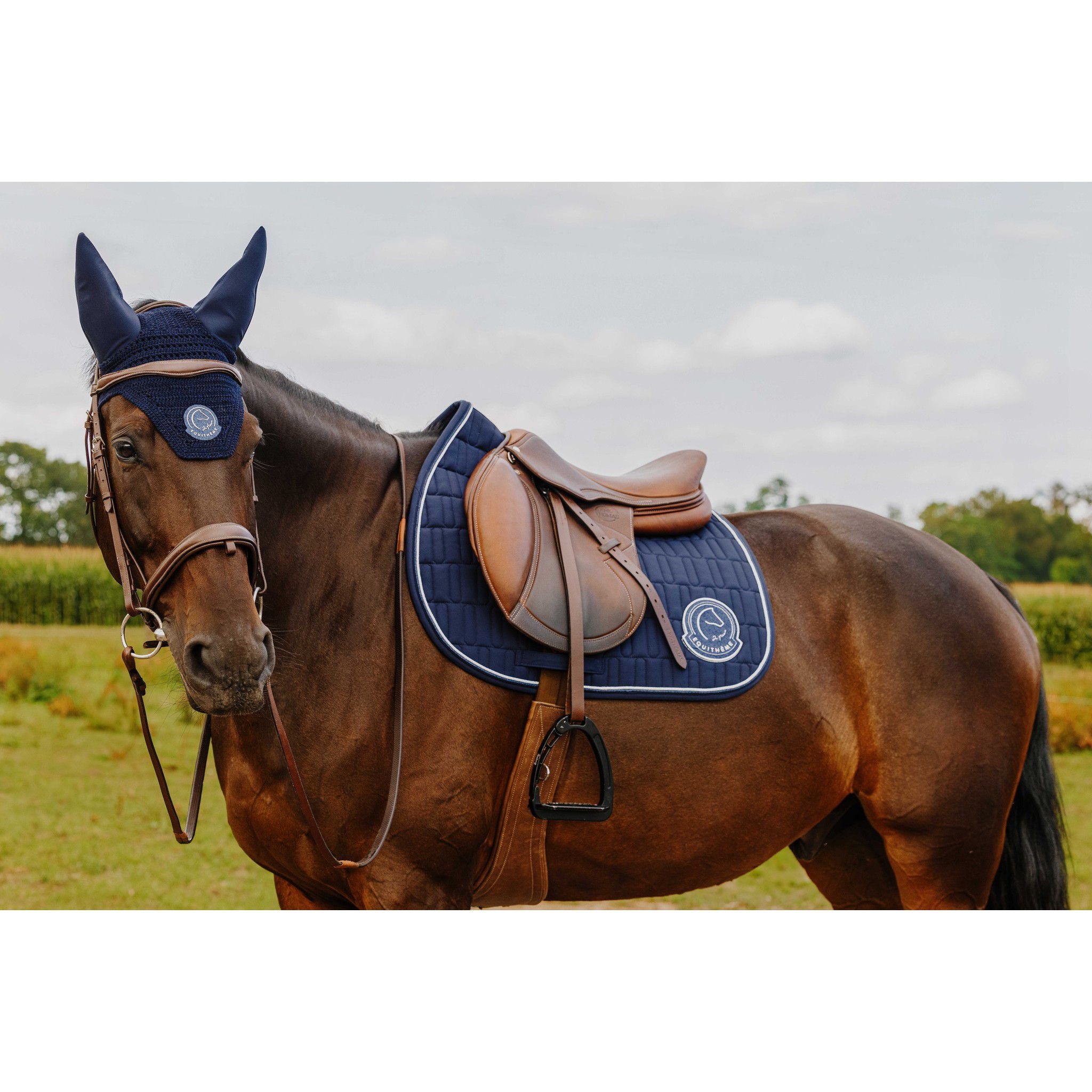 Je t'aime EQUITHÈME Compet Saddle pad - All purpose Blue 204506007