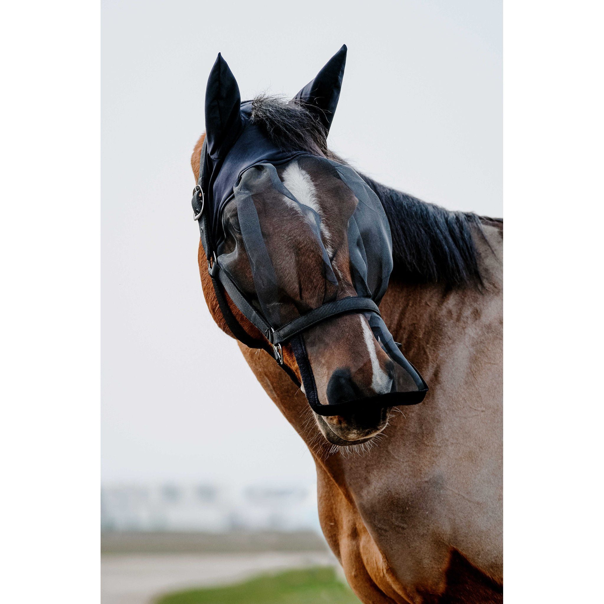 EQUITHÈME Halter + fly mask anti-UV protection Black 510061003
