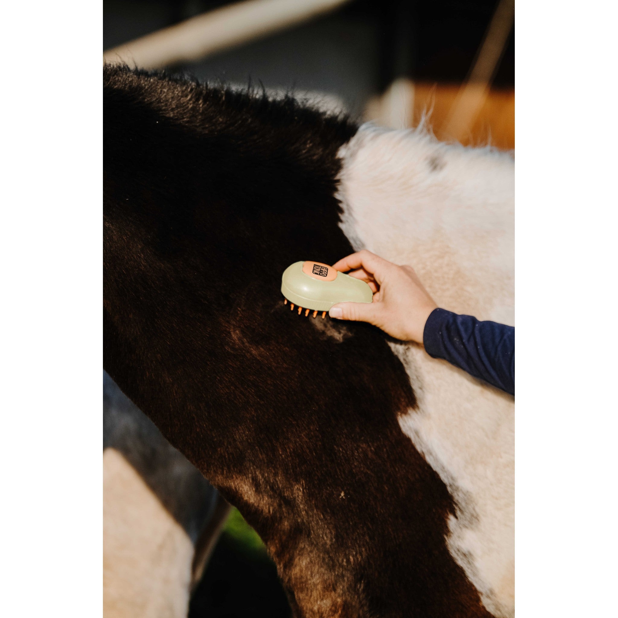 Hippo-Tonic Steam Curry Comb Beige 700066005