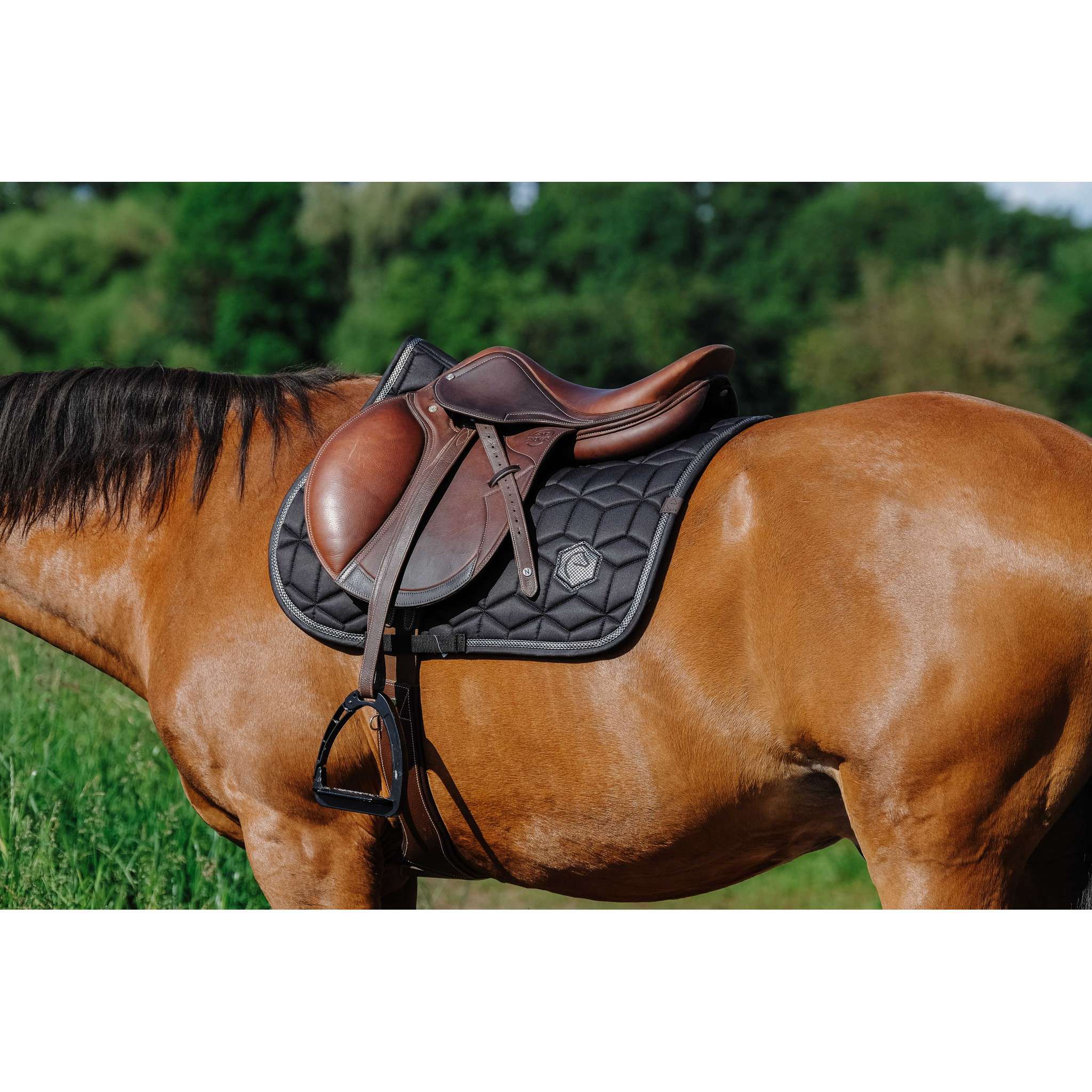 EQUITHÈME Softhex Saddle Pad - All purpose Black 204005002
