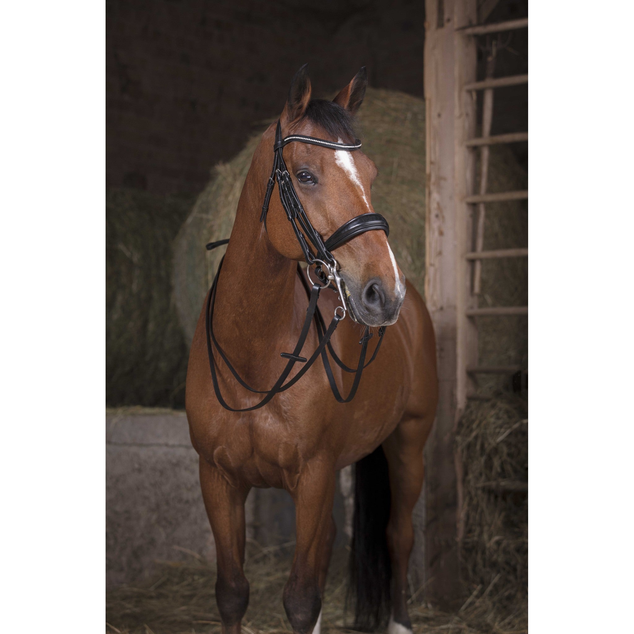 Norton Pro Bridle reins Black 305640302