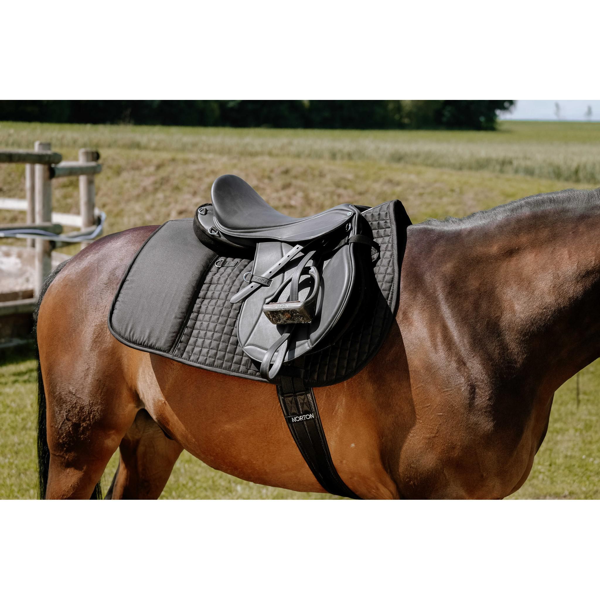 Randol's Confort Long trail pad Black 204480302