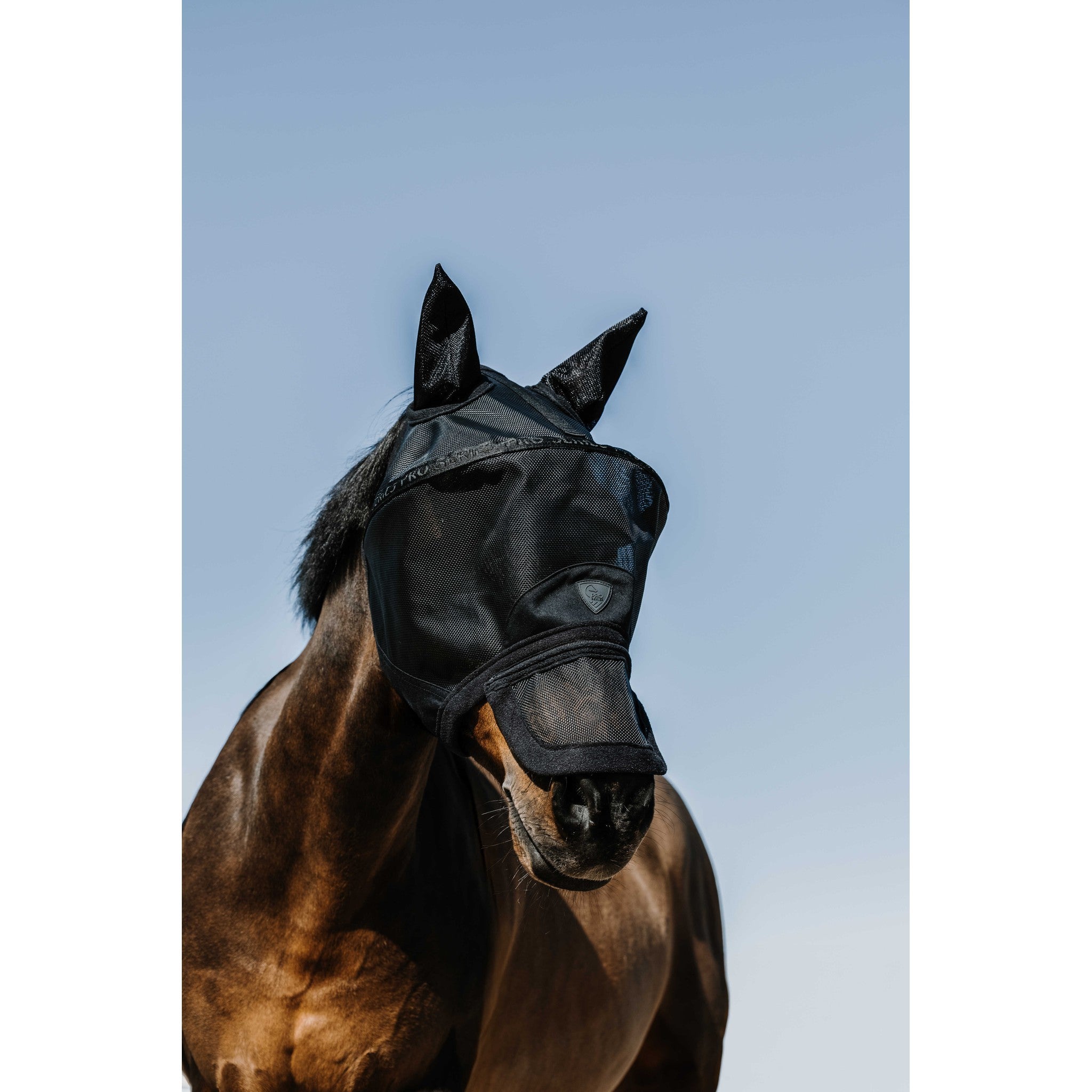 Pro Series Anti UV Fly Mask Black 306037203