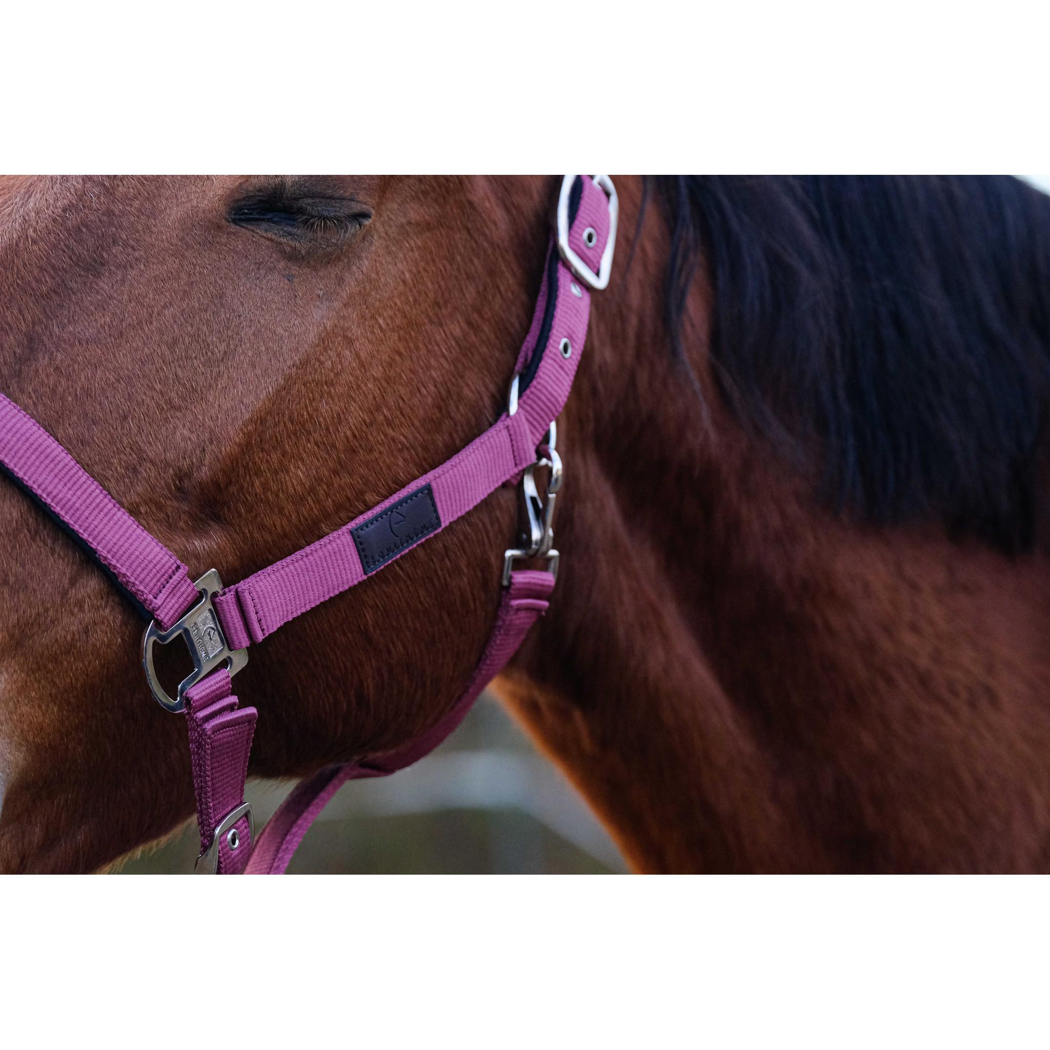 EQUITHÈME Spring Halter Pink 510257013
