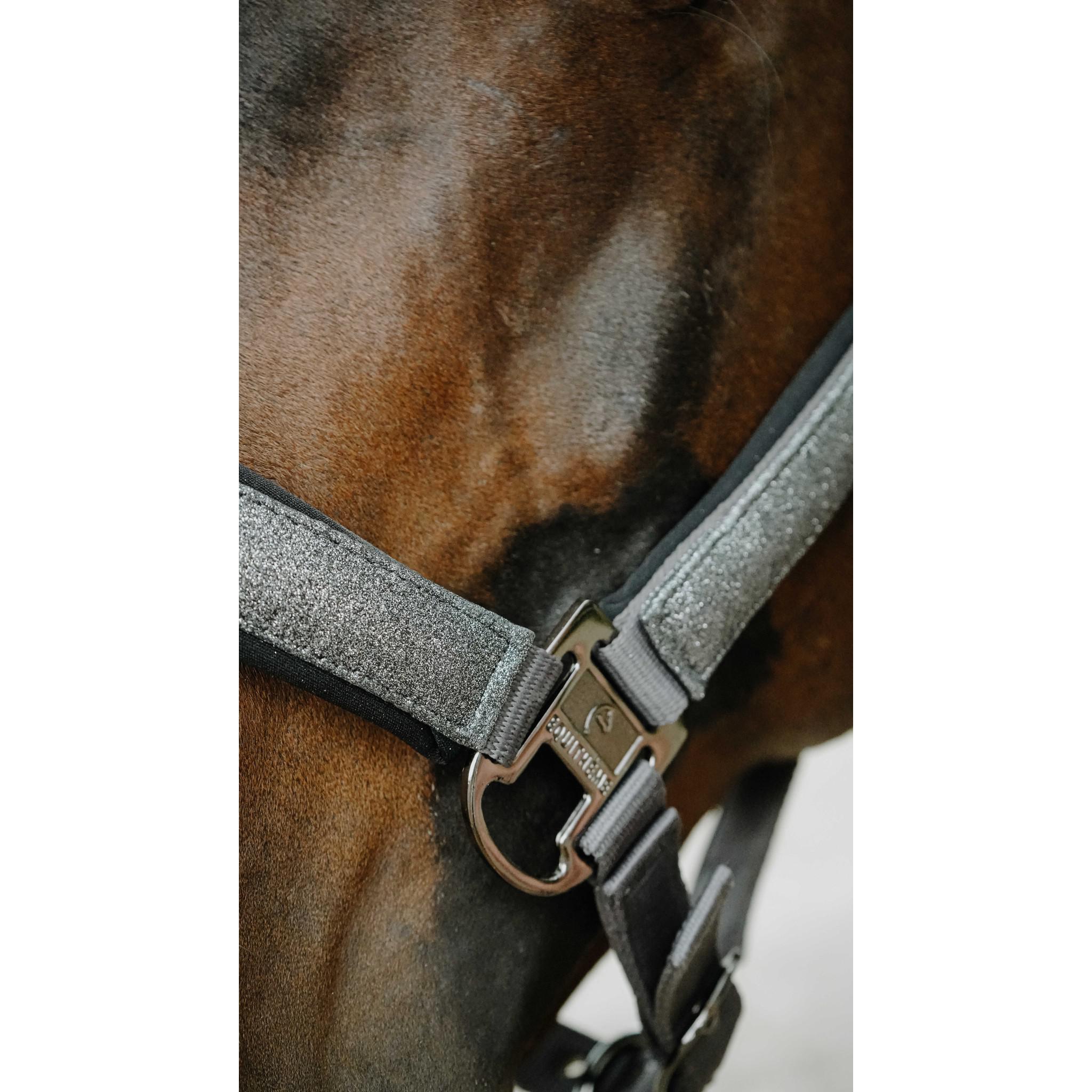 EQUITHÈME Halter - Glowy Silvery colour grey 510273311