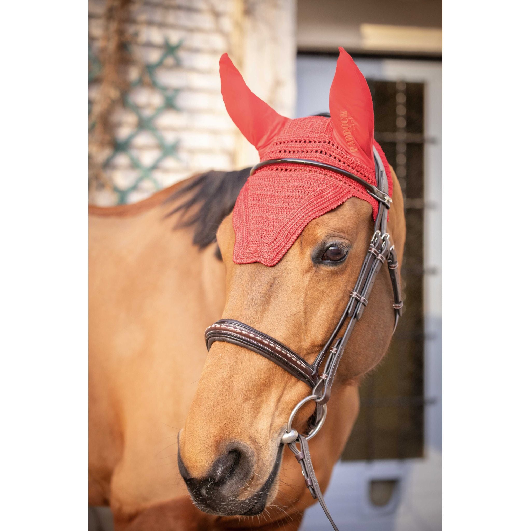 Paddock Sports Prem's Fly Veil Red - 306969303_ambi_1