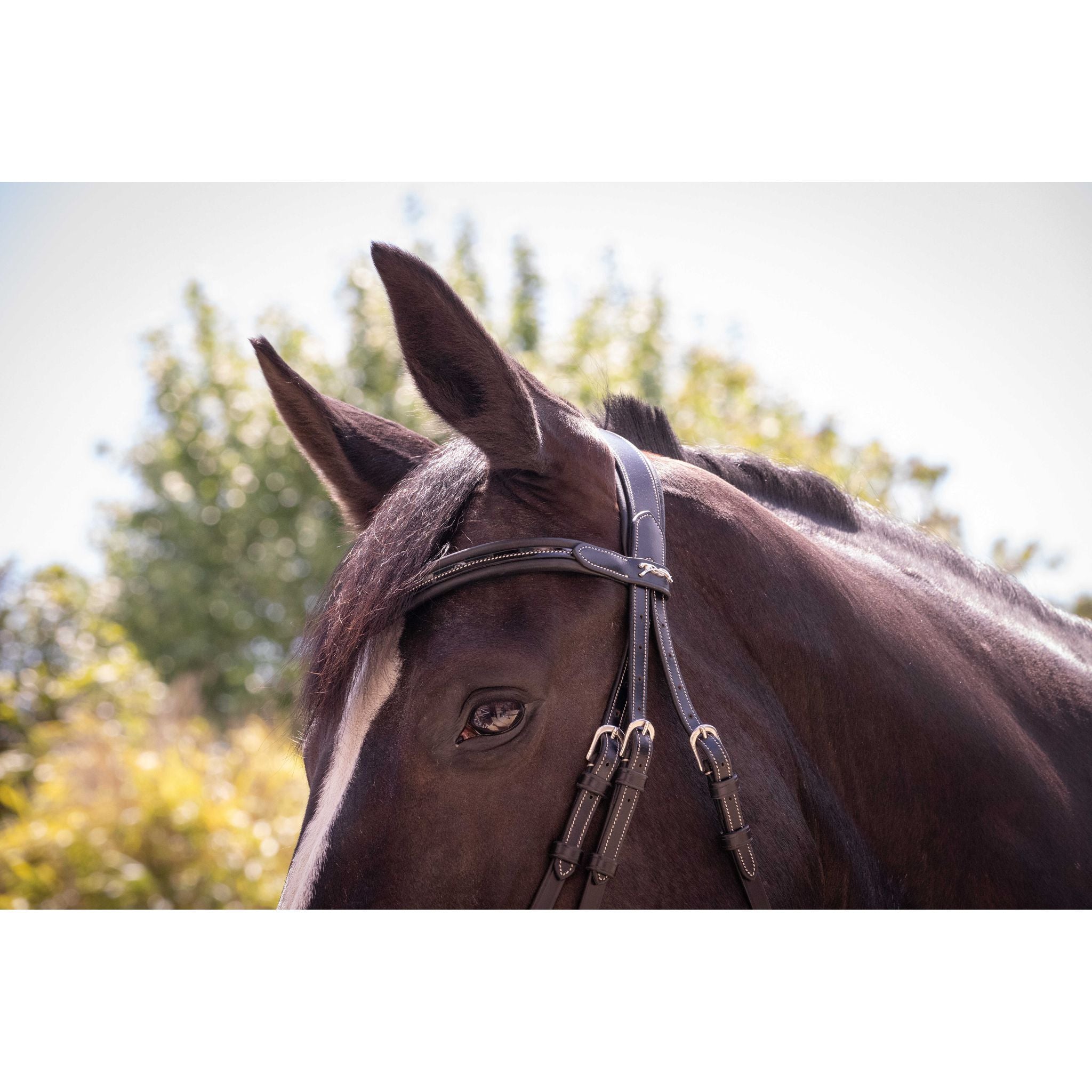 Penelope Smoothie Pearl Bridle Black - 301604302_ambi_5