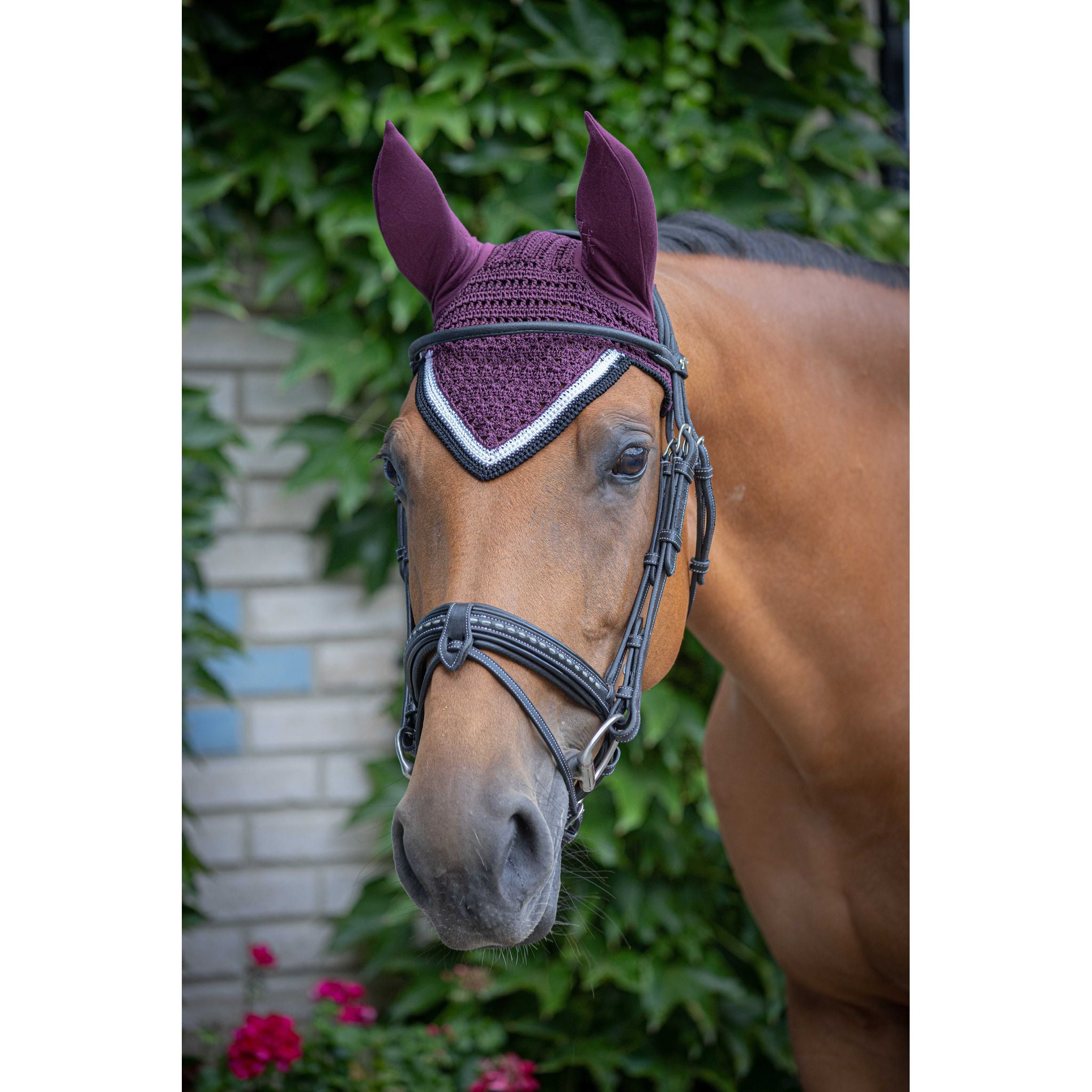 Paddock Sports Origine Fly Veil Plum - 306988034_ambi_4