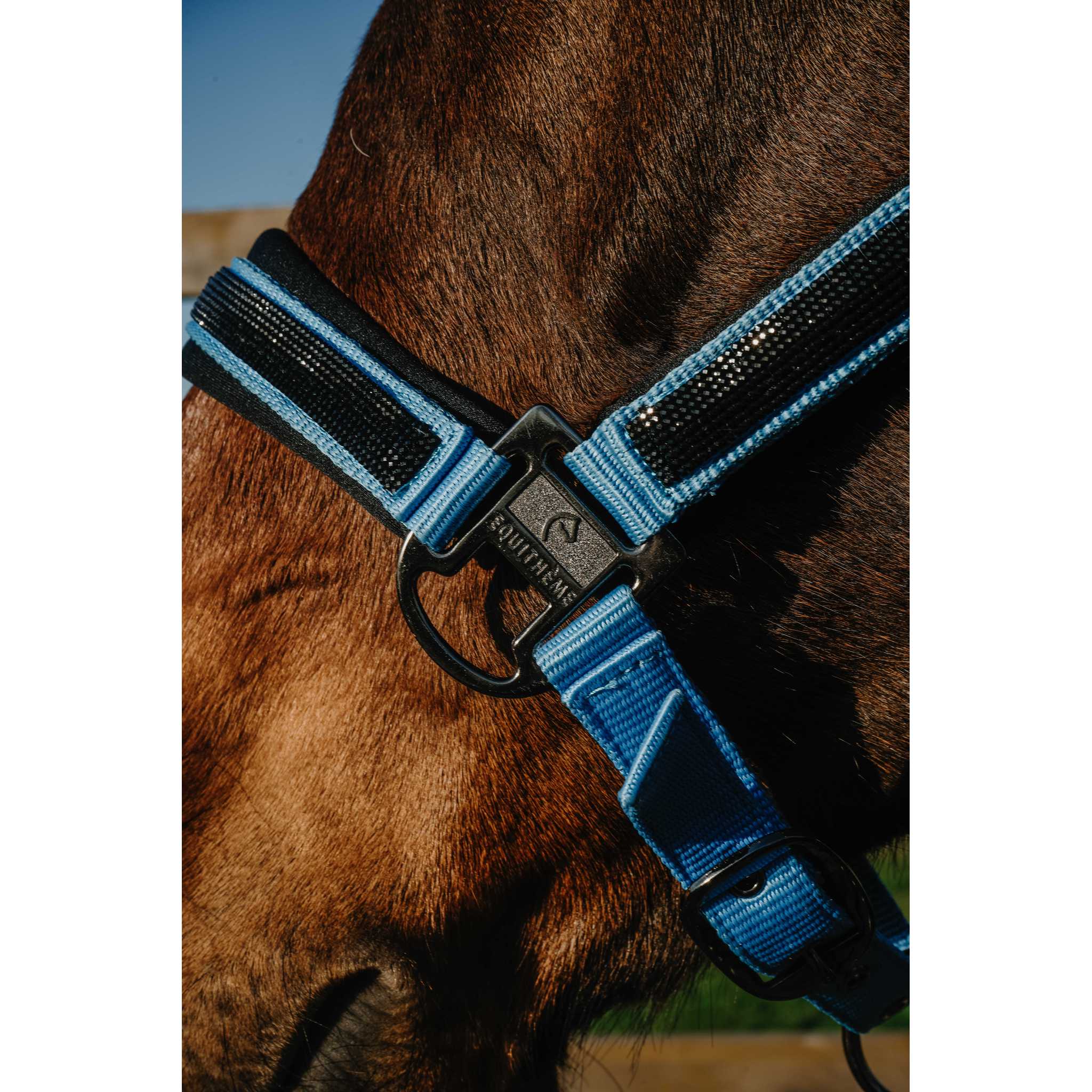 EQUITHÈME Strass Halter Light blue - 510250311_ambi_3