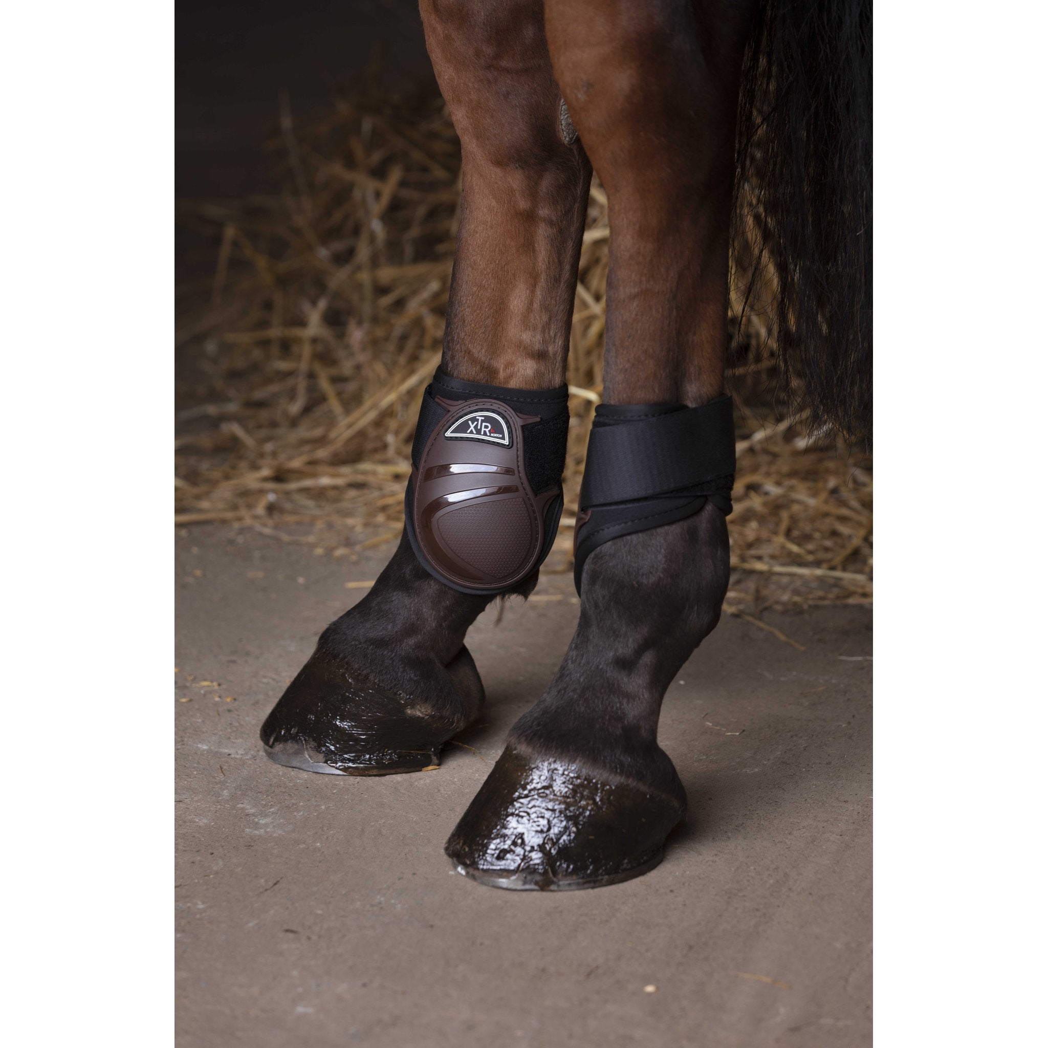 Norton XTR Fetlock Boots - Brown - 530661043_ambi_2