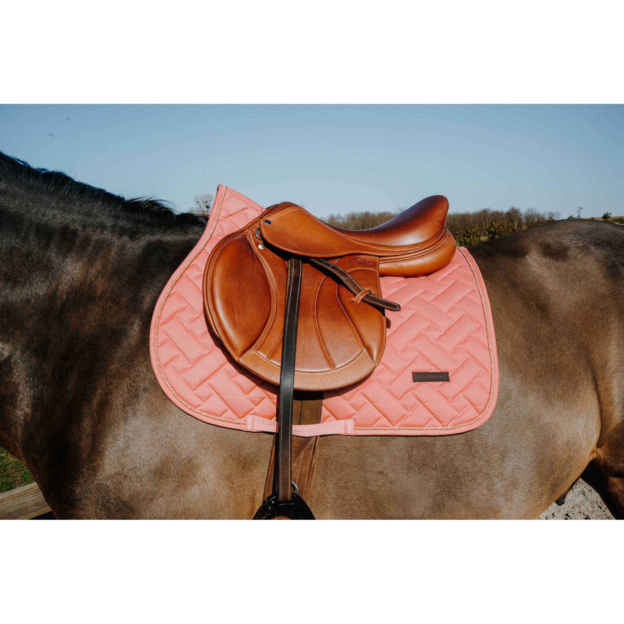 EQUITHÈME Starlet All-Purpose Saddle Pad Peach - 204027025_ambi_1