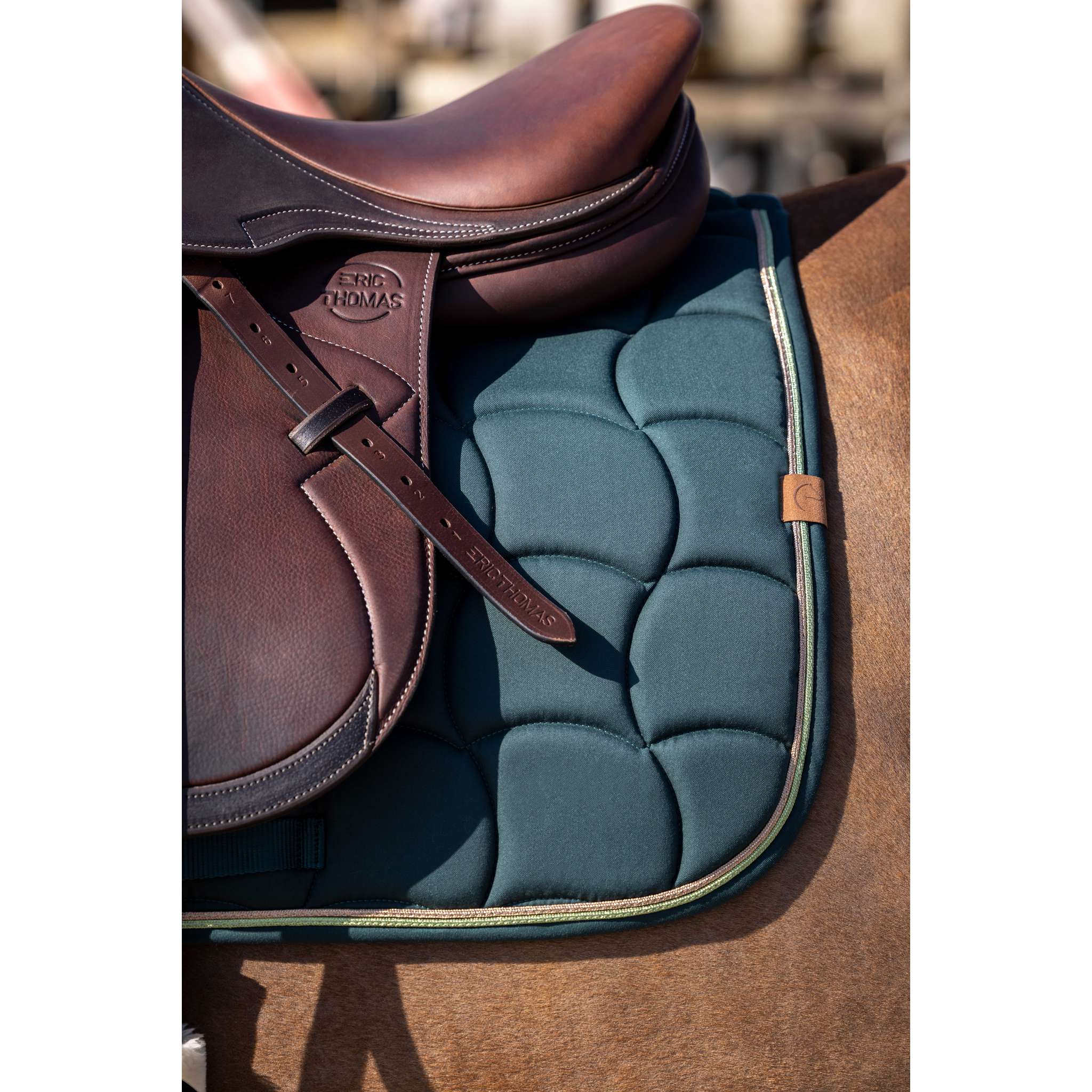 EQUITHÈME Shiny All-Purpose Saddle Pad Green - 204762009_ambi_2