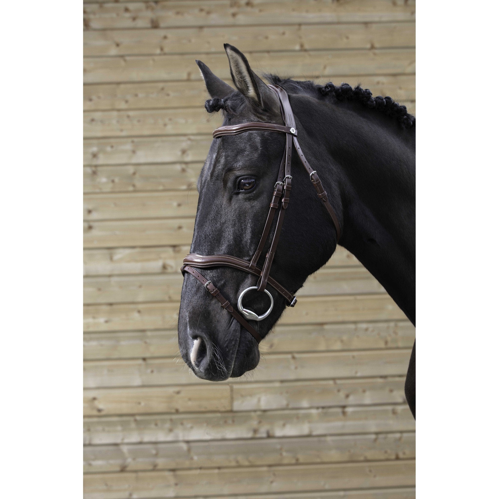 Bridle Norton Pro Cut Havana 301828318