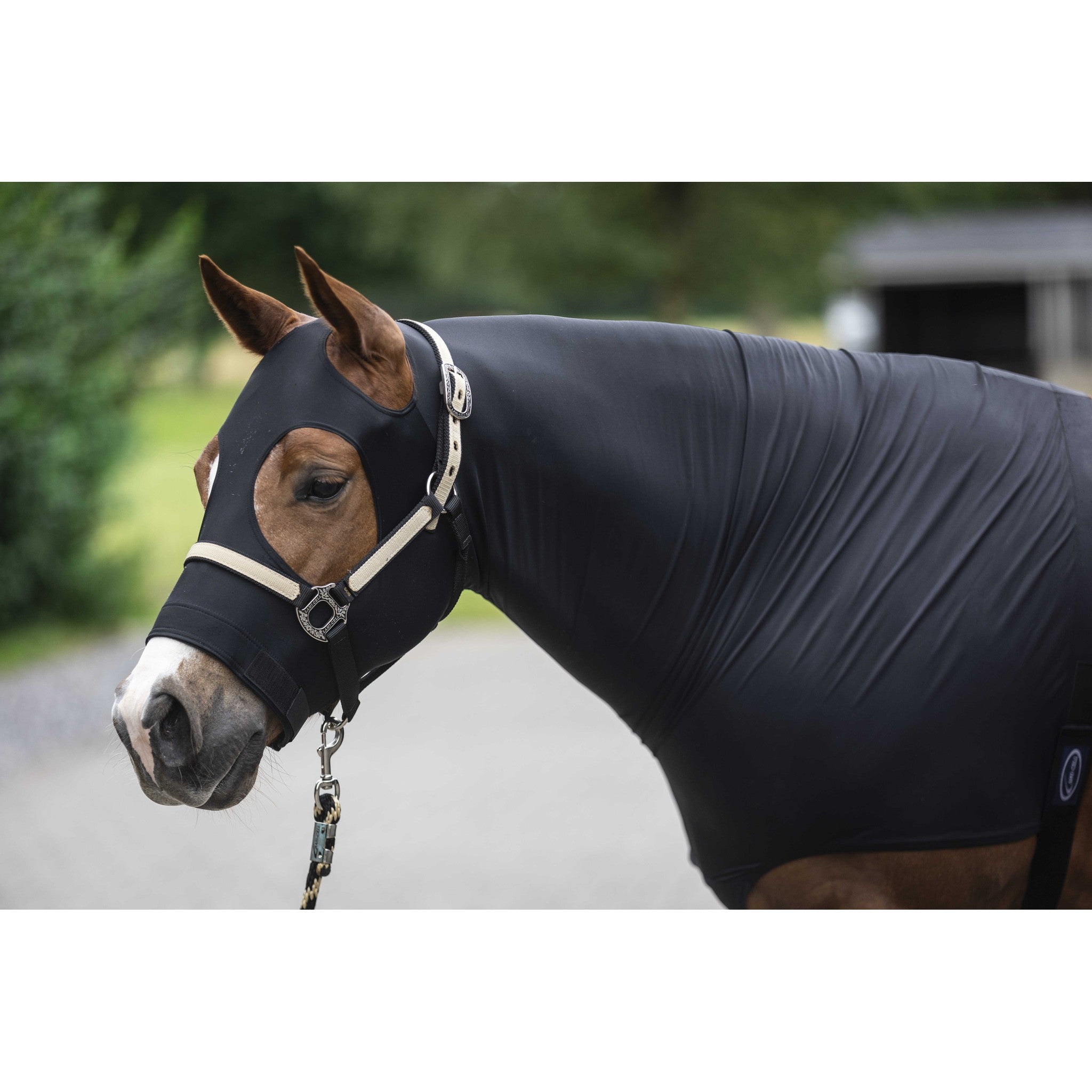 Lami-Cell Lycra Head and Neck Protection Black 400406202