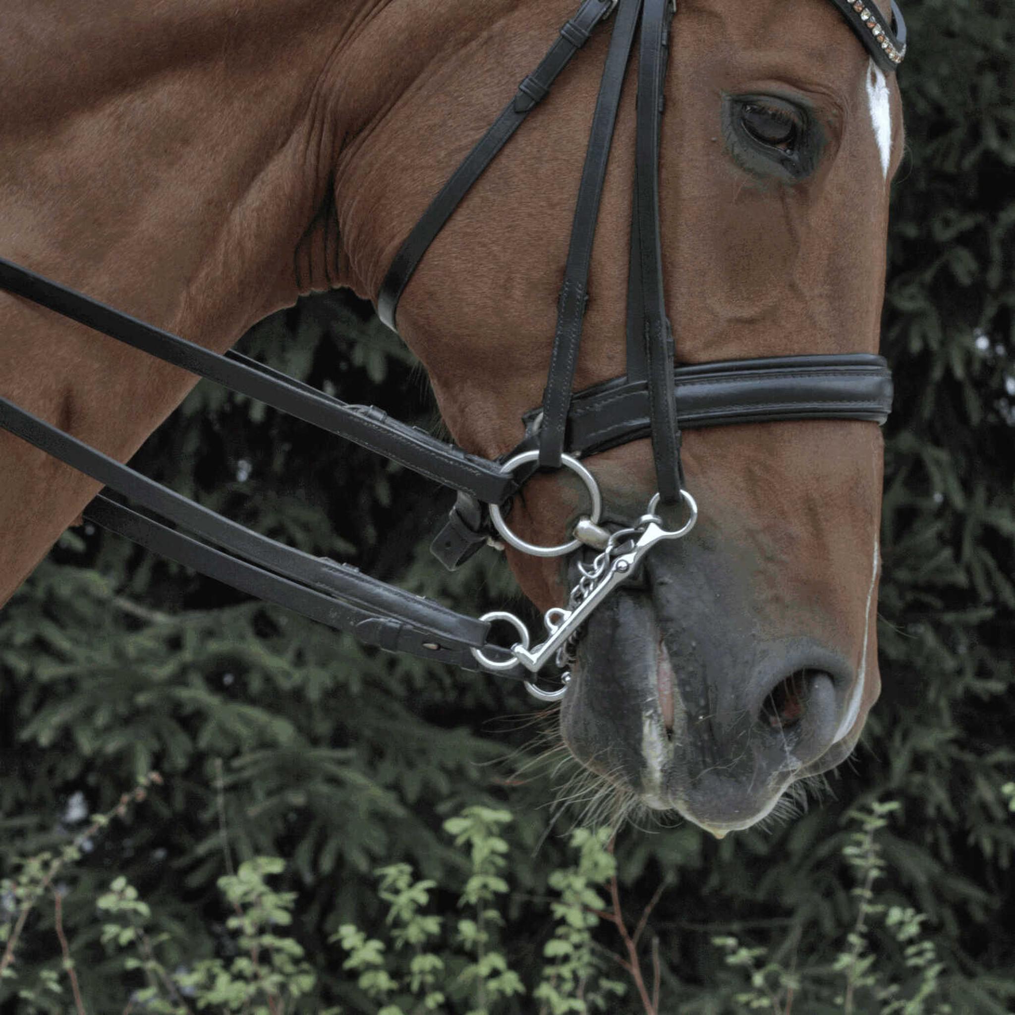 Sprenger Novocontact Loose Ring Snaffle double jointed 640455135