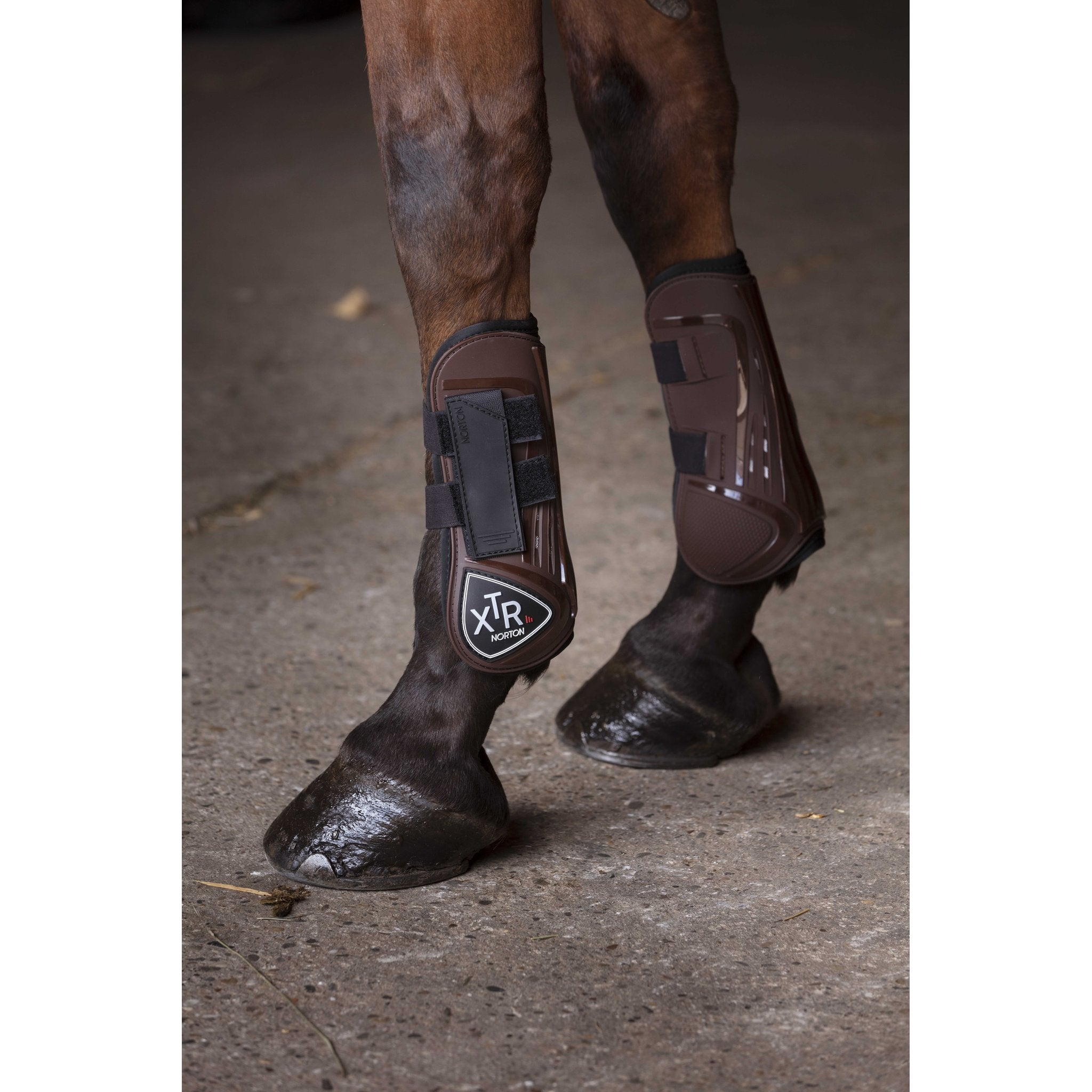 Norton XTR Horse Boots - Brown - 530660043_ambi_2