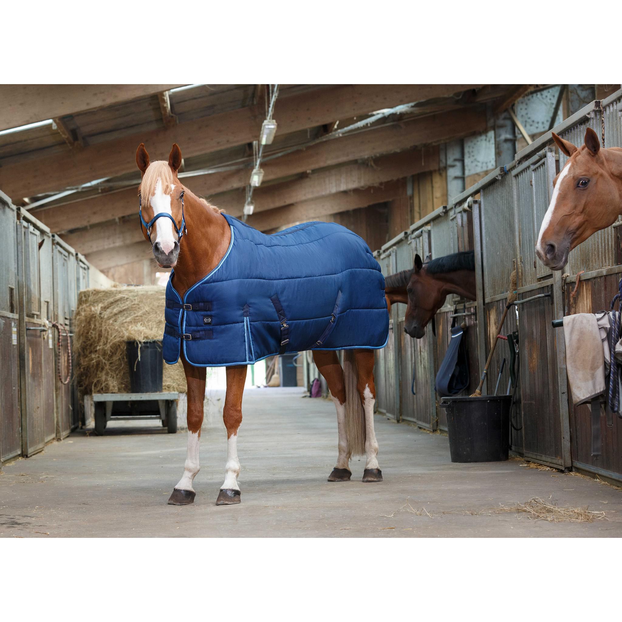 Riding World Stable rug Navy/light blue 400505763