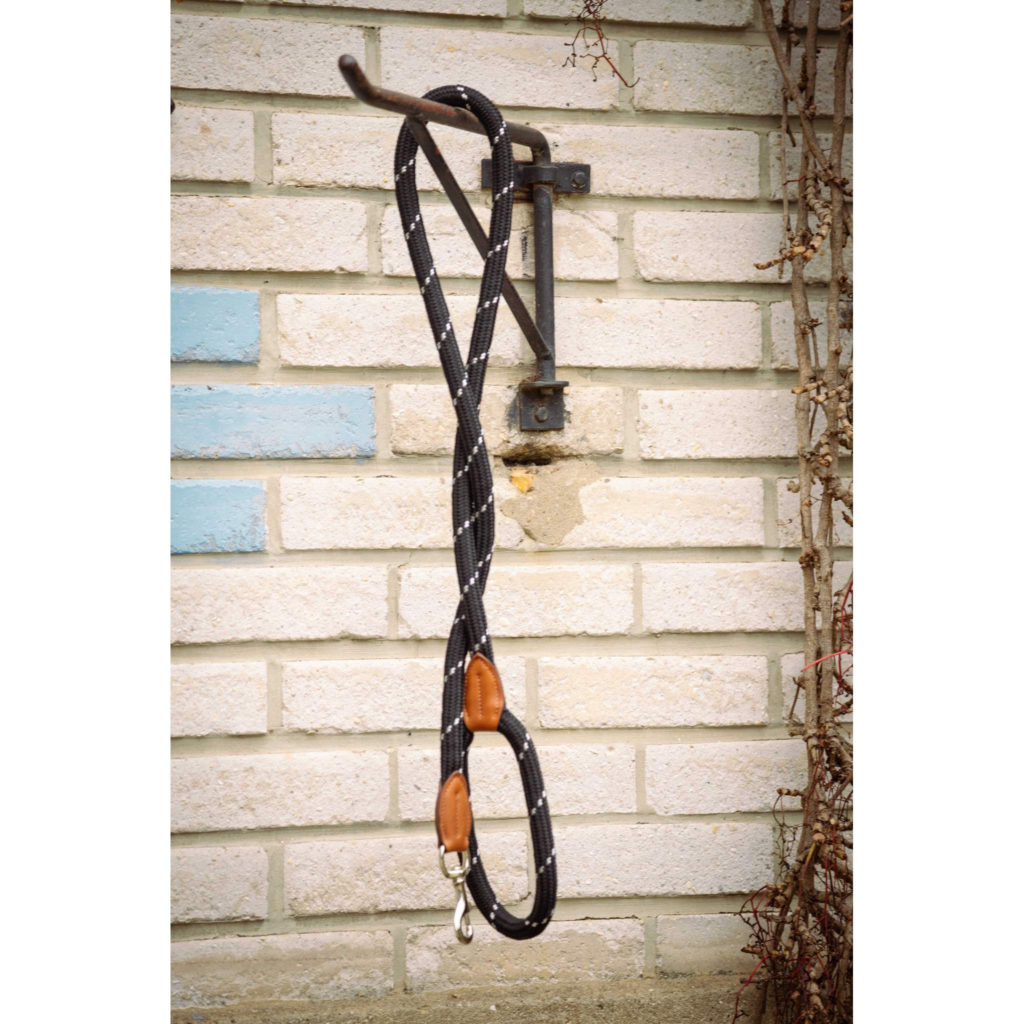 Pénélope Billie Dog Leash Black 409952002