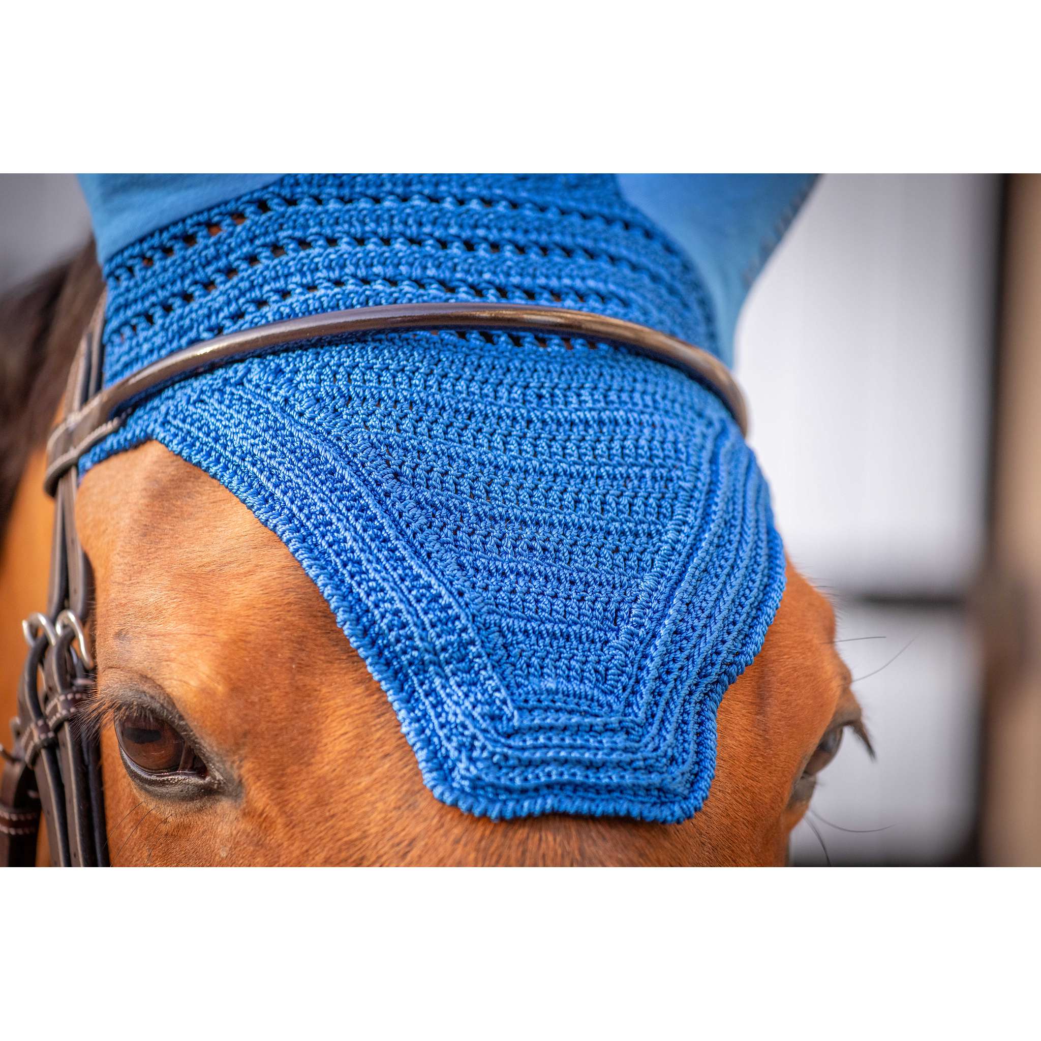 Paddock Sports Prem's Fly Veil Royal blue - 306969206_ambi_4