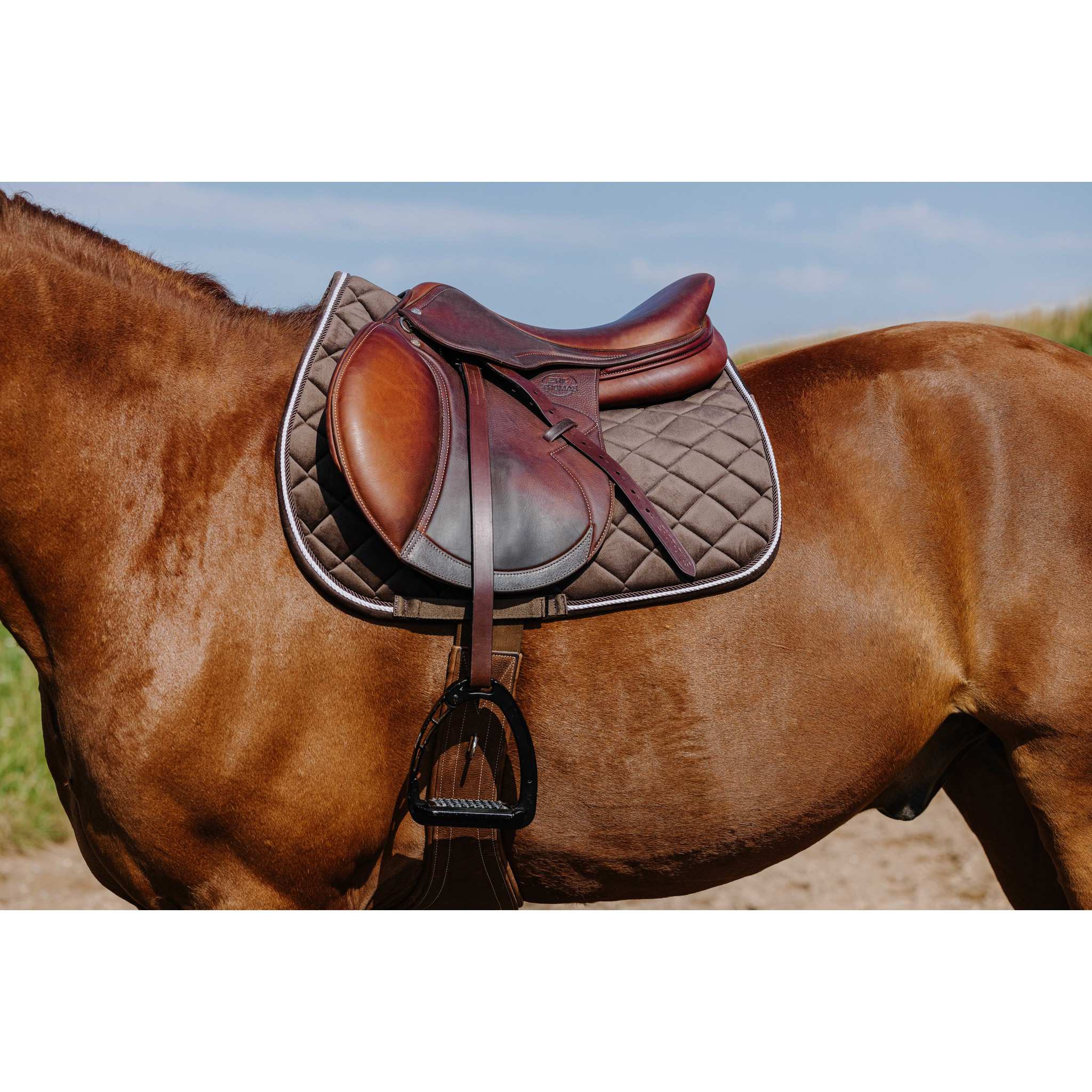 Riding World Velours saddle pad - All purpose chestnut brown 204059004