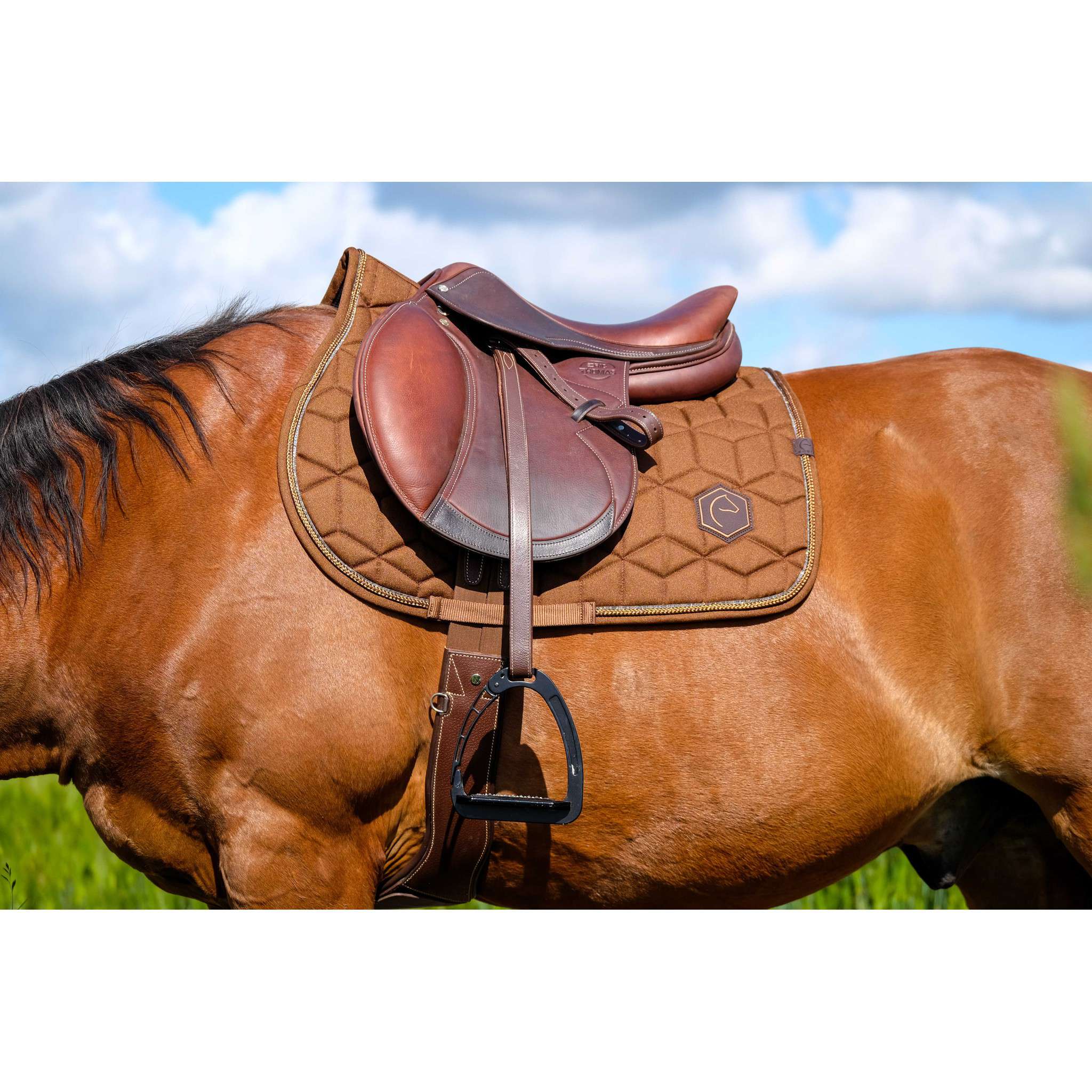 EQUITHÈME Hexalight saddle pad - All purpose chestnut brown 204004004
