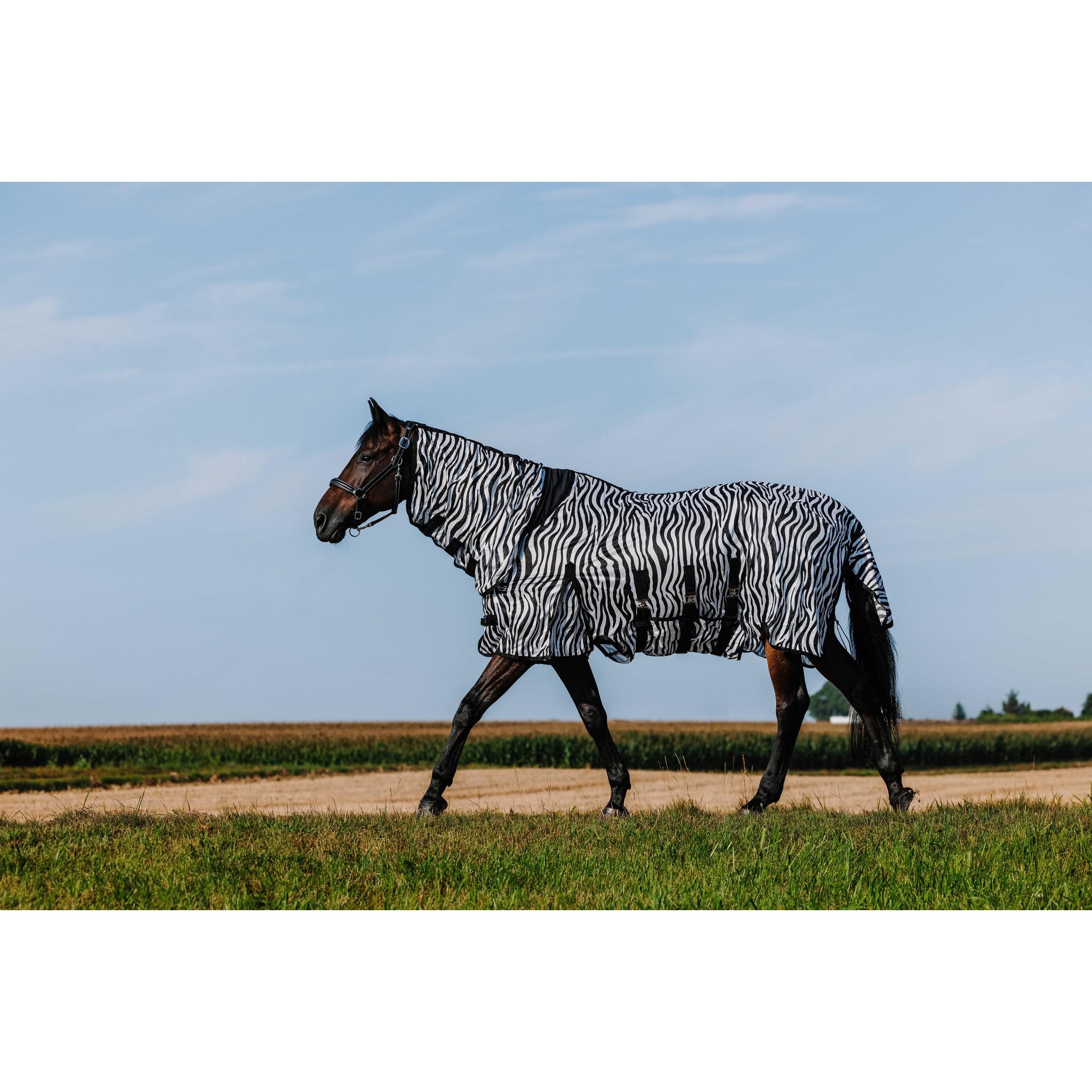 Riding World Belly Mesh Sheet - Combo Zebra 400726063