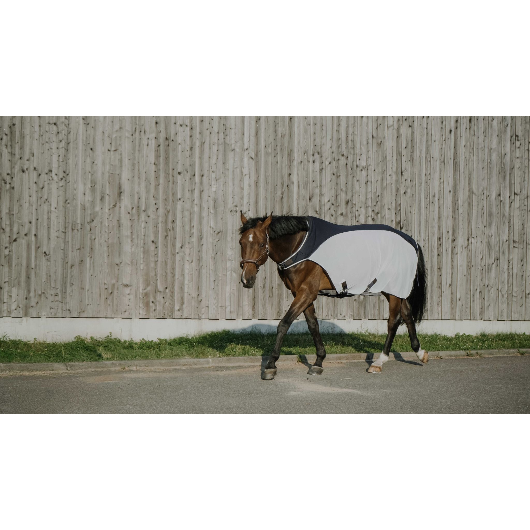 EQUITHEME Flycool Walker Shirt Navy/white - 400005063_ambi_5