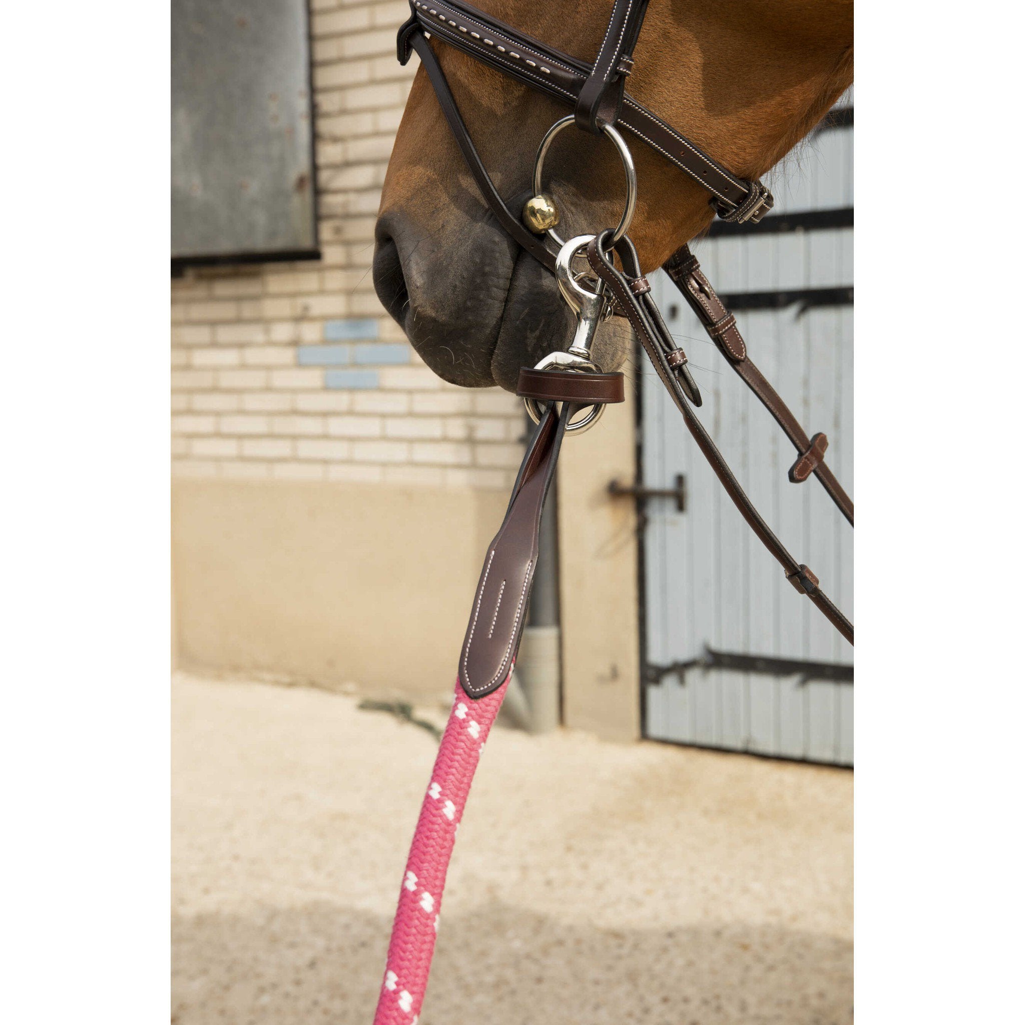 Pénélope Rope Lunge Havana 520090018