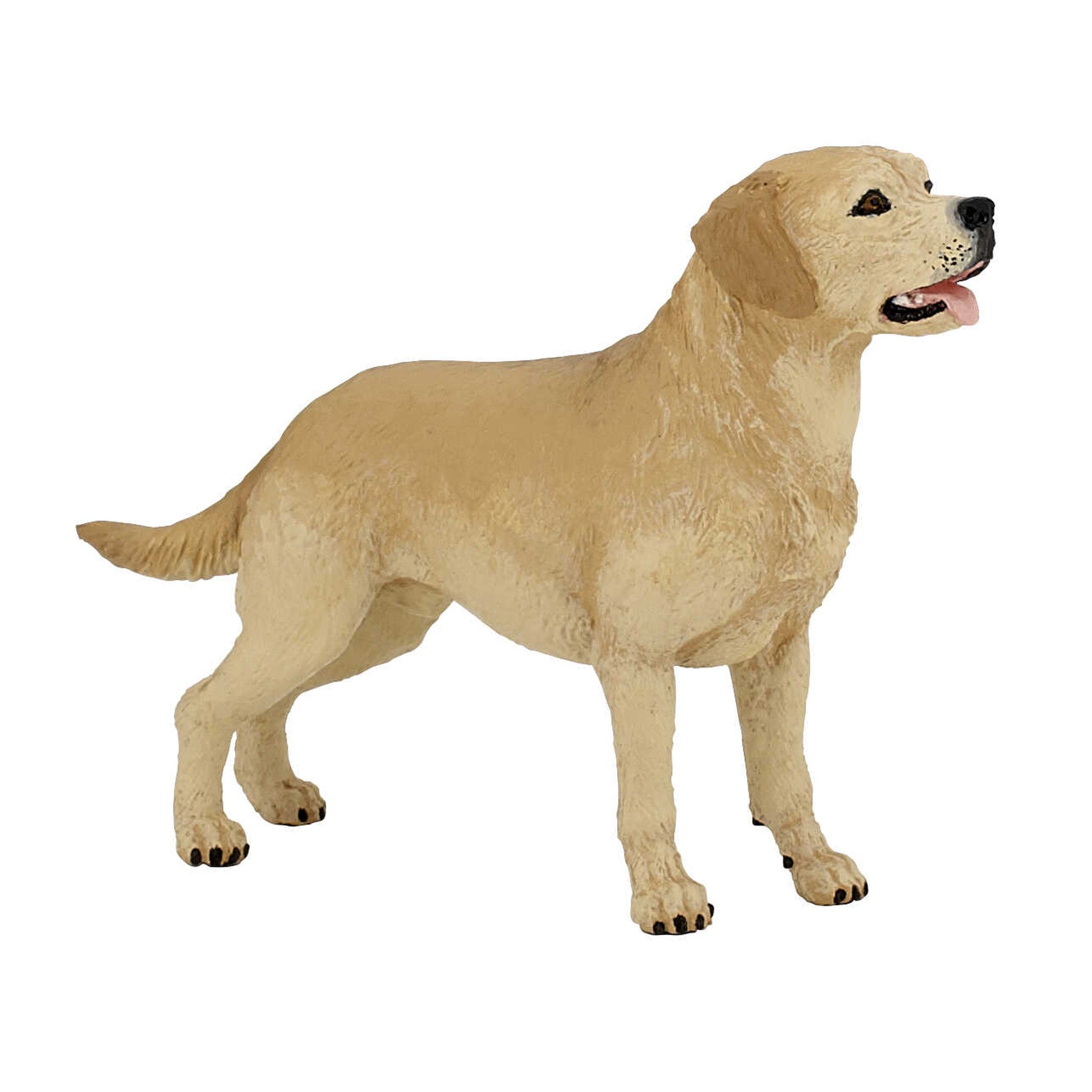 PAPO Labrador - 905054029_packshot_1