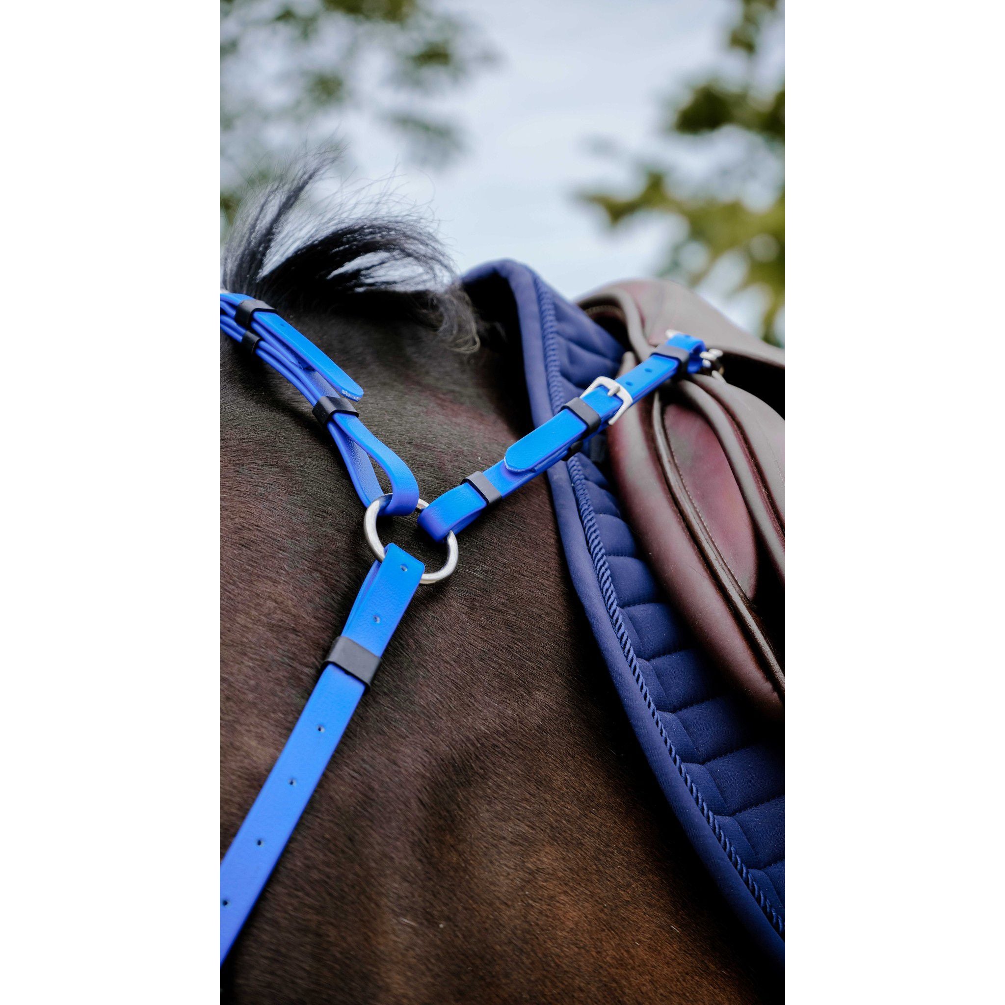 Norton Pop Breastplate Royal blue 306617306