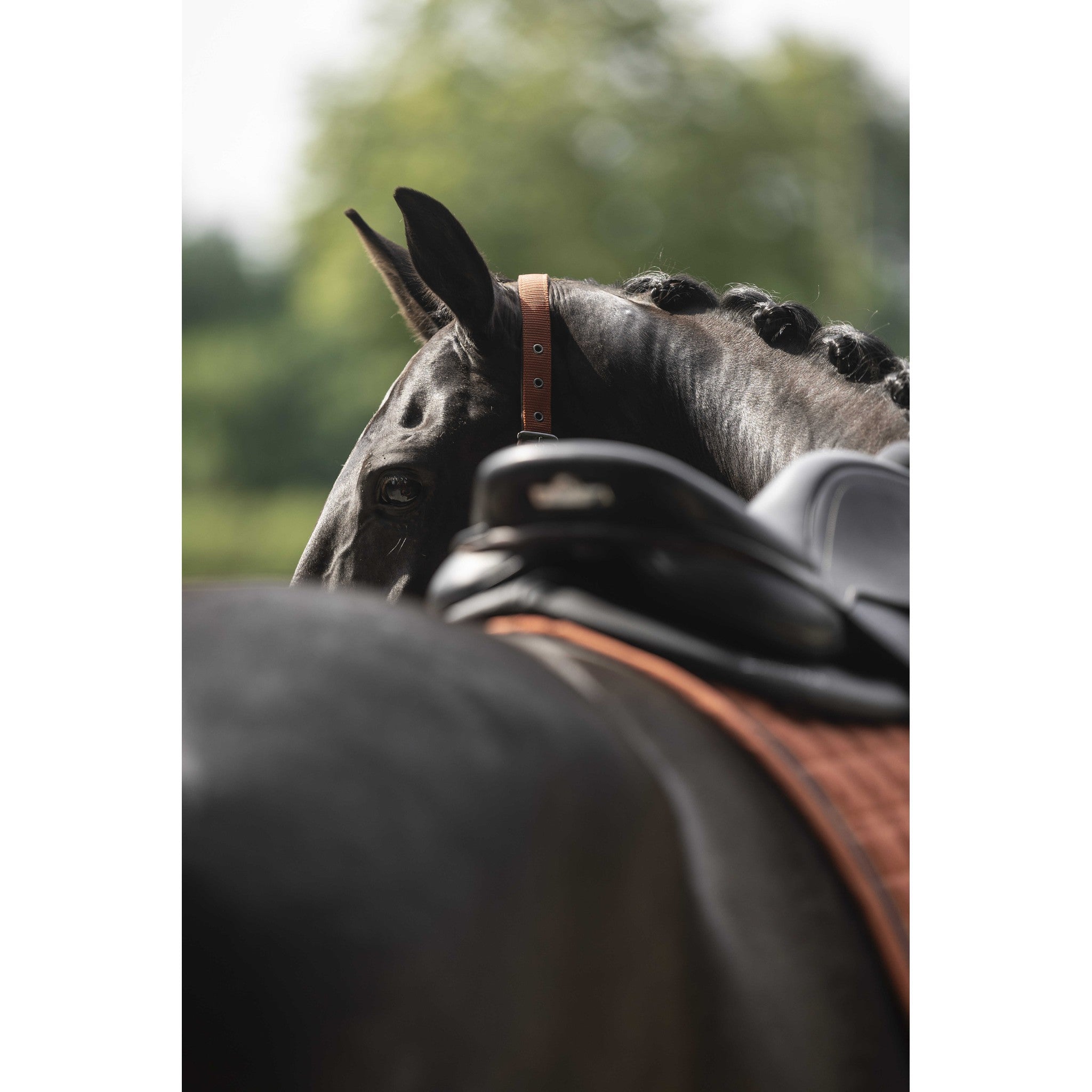 Lami-Cell Vintage saddle pad - All purpose Orange 220025022