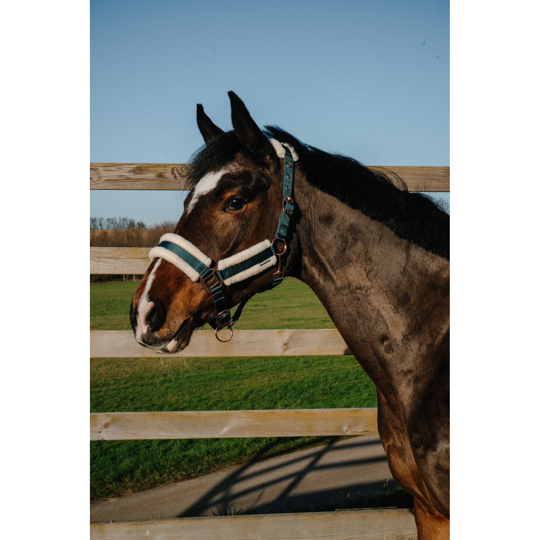 NORTON Comfy Halter Dark green - 510280309_ambi_1