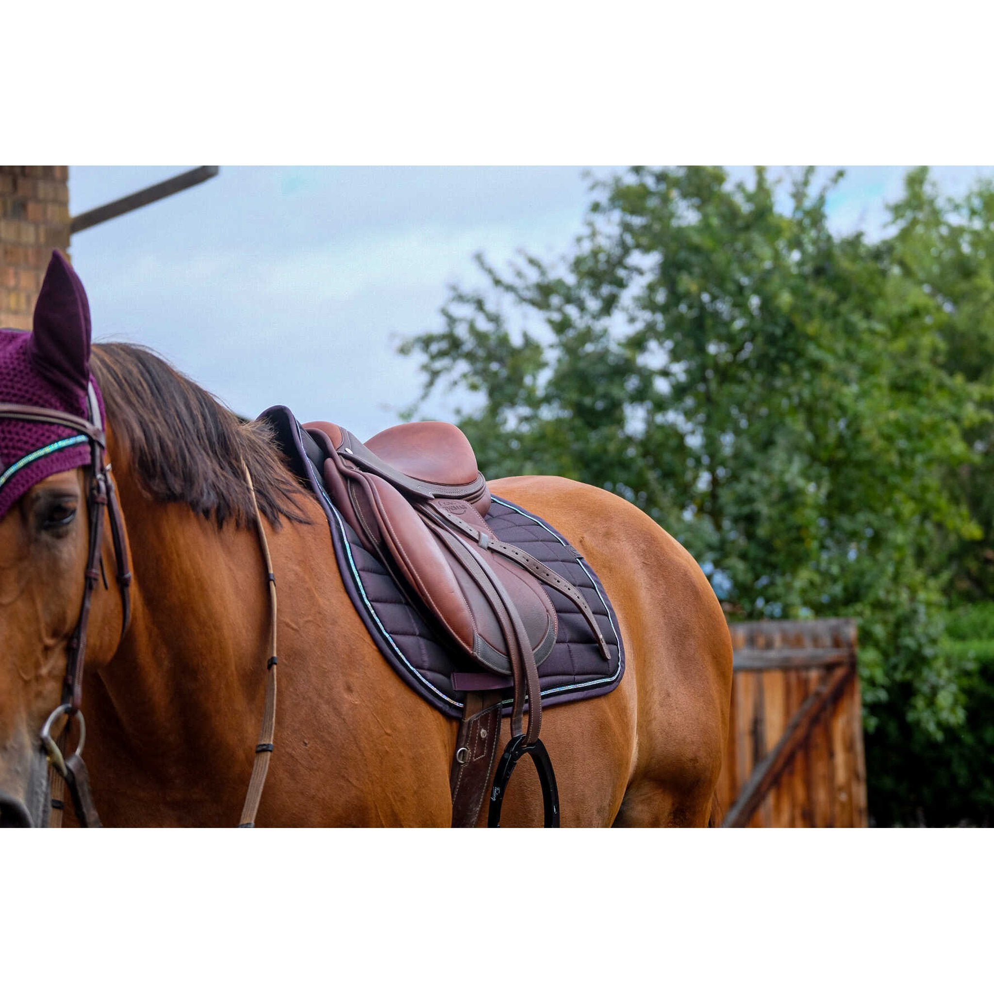 EQUITHÈME Domino All-Purpose Saddle Pad Purple - 204782015_ambi_3