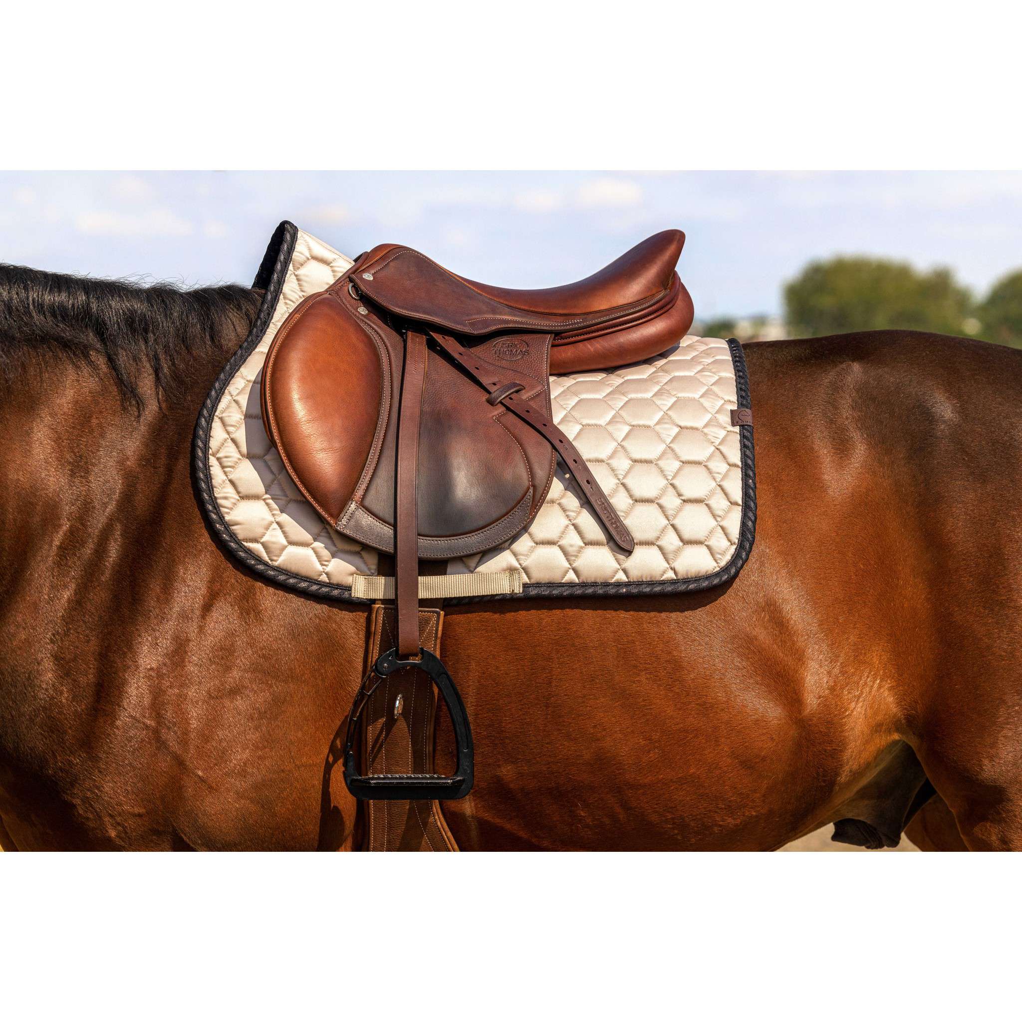 EQUITHÈME Pretty Saddle Pad - All purpose Beige 204010005