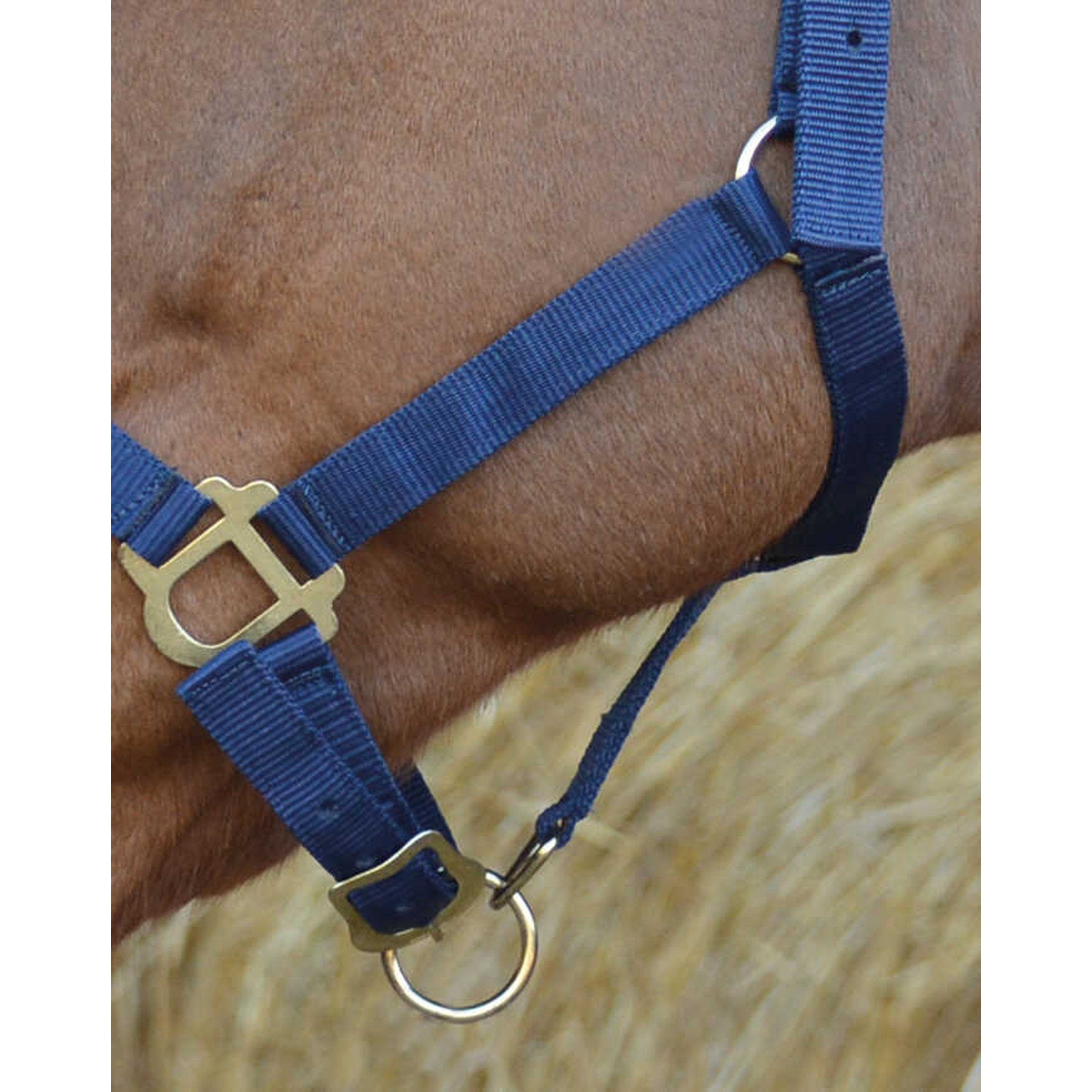 Riding World Nylon headcollar Navy blue 510032007