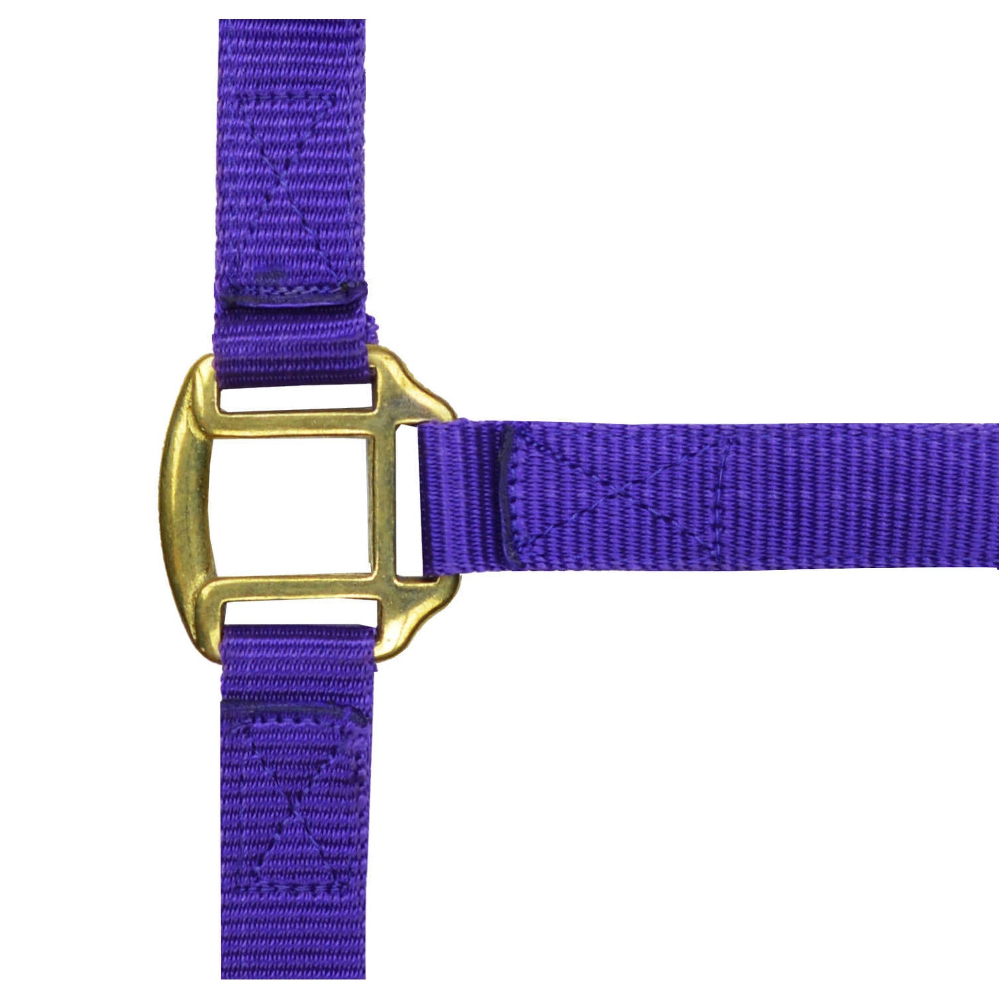 Norton Leather lined nylon headcollar Purple 510185015