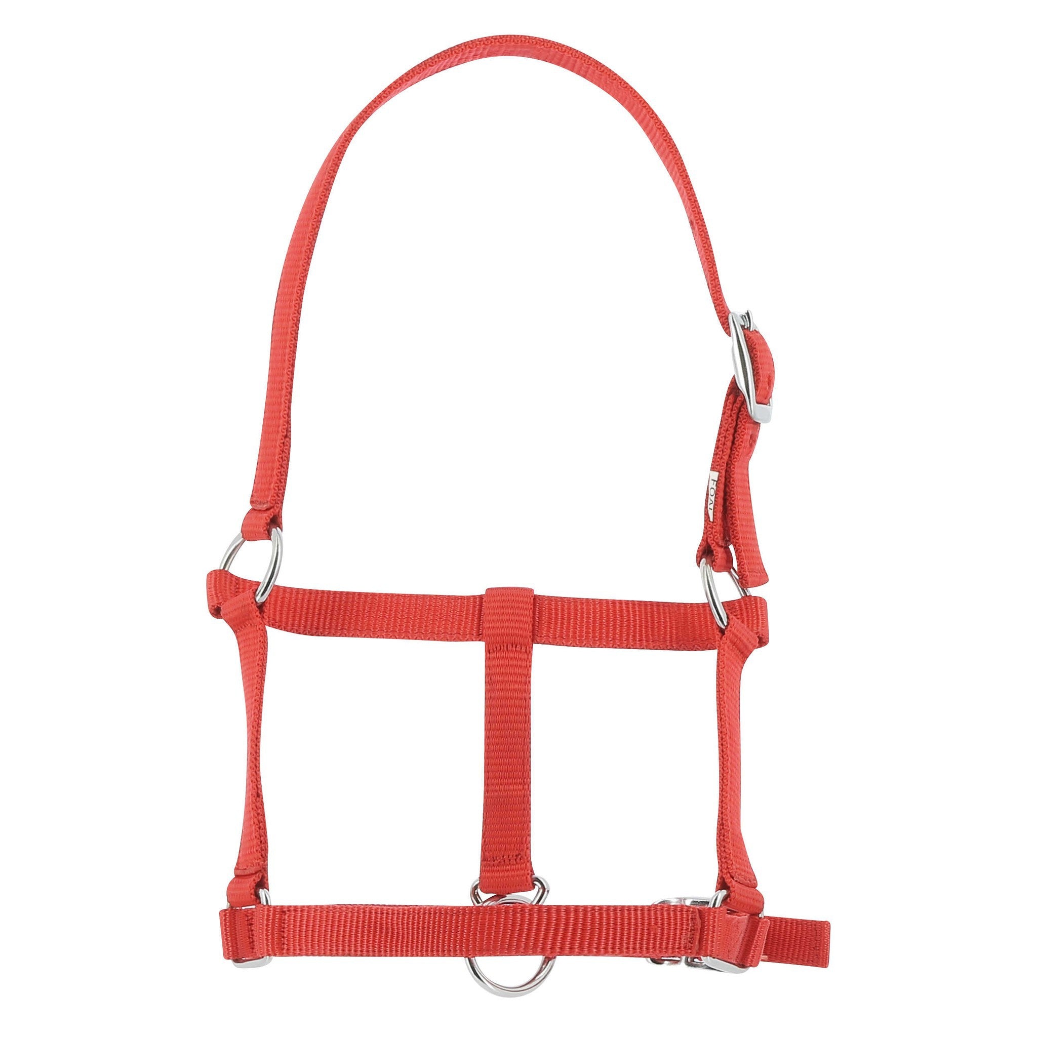 Riding World Foal Halter Red 510241003