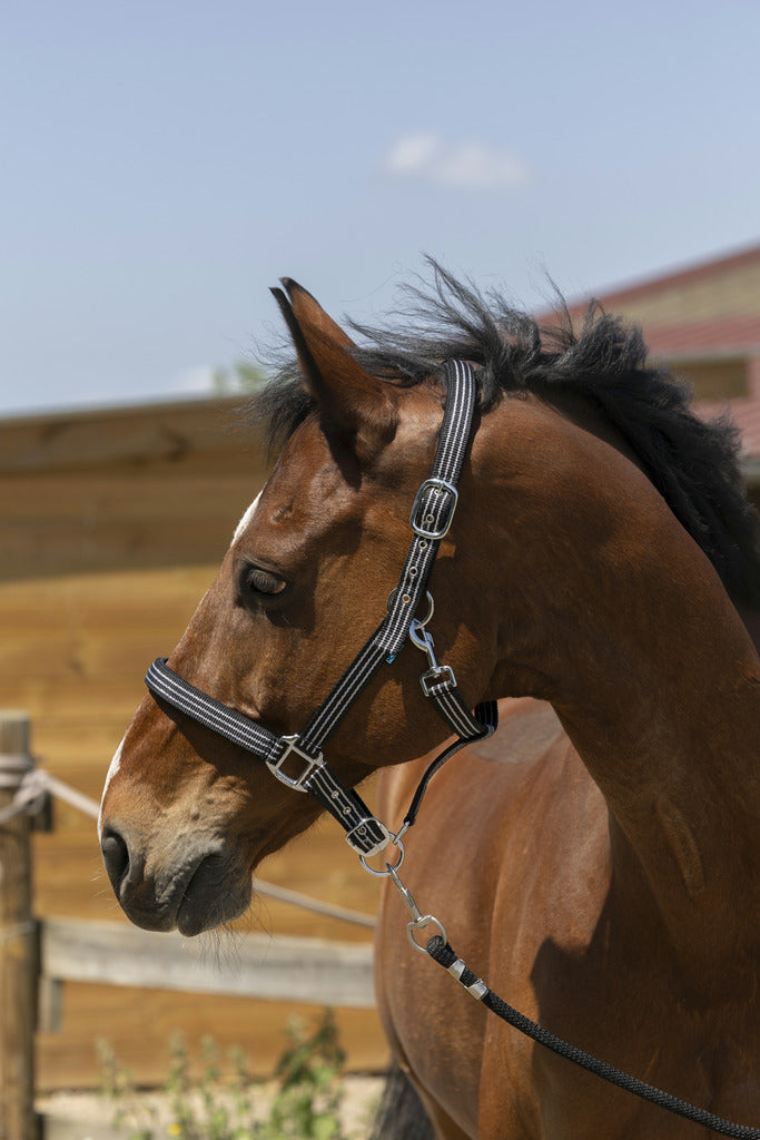 Norton Zari Halter Black