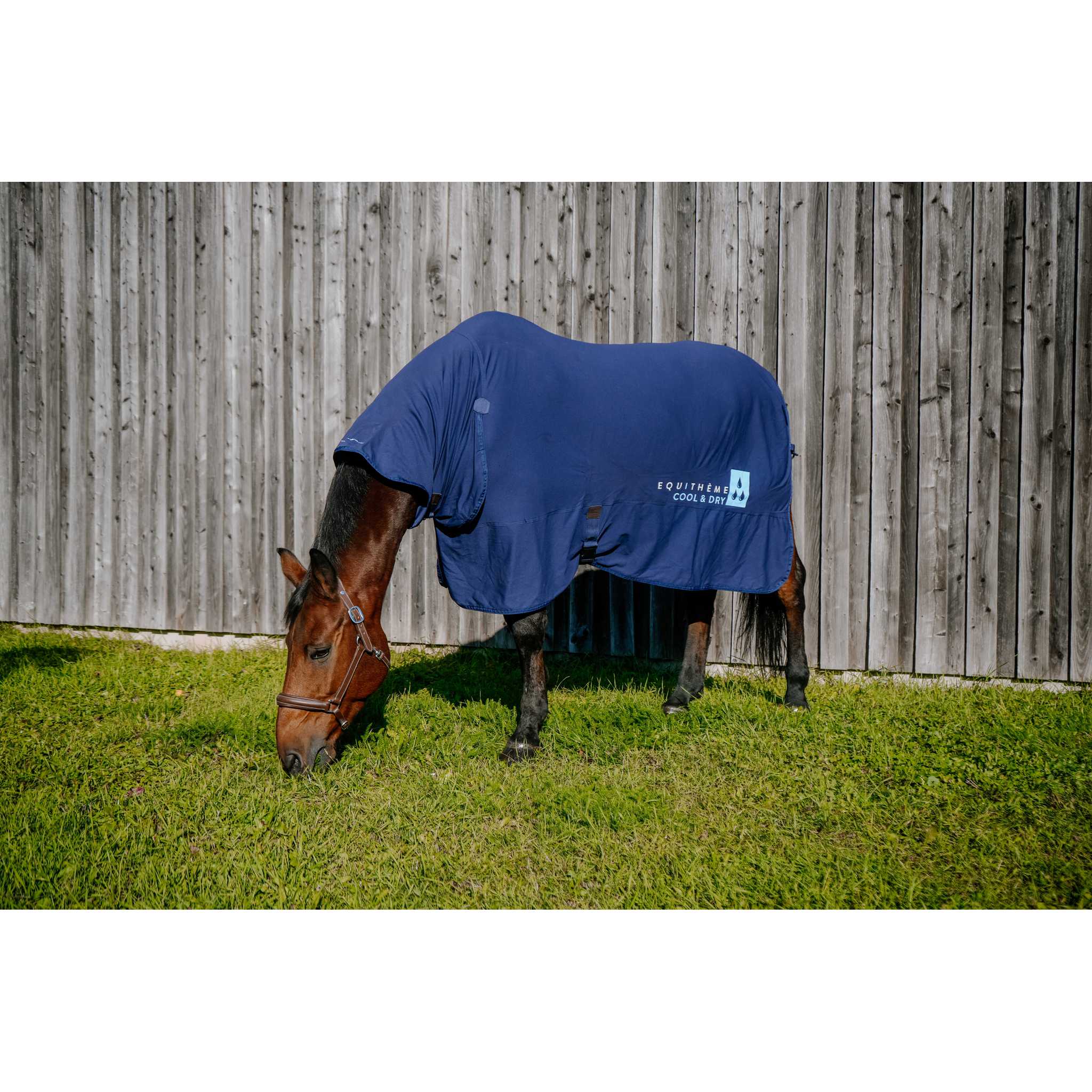 EQUITHÈME Cool&dry Fresh Cooling Combo Sheet Navy blue - 400783063_ambi_1