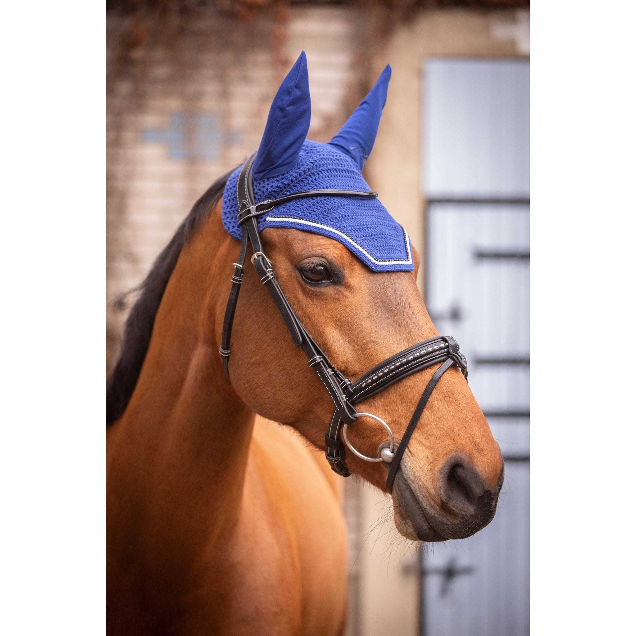 Pénélope Diamant Fly Veil Royal blue - 306894006_ambi_1