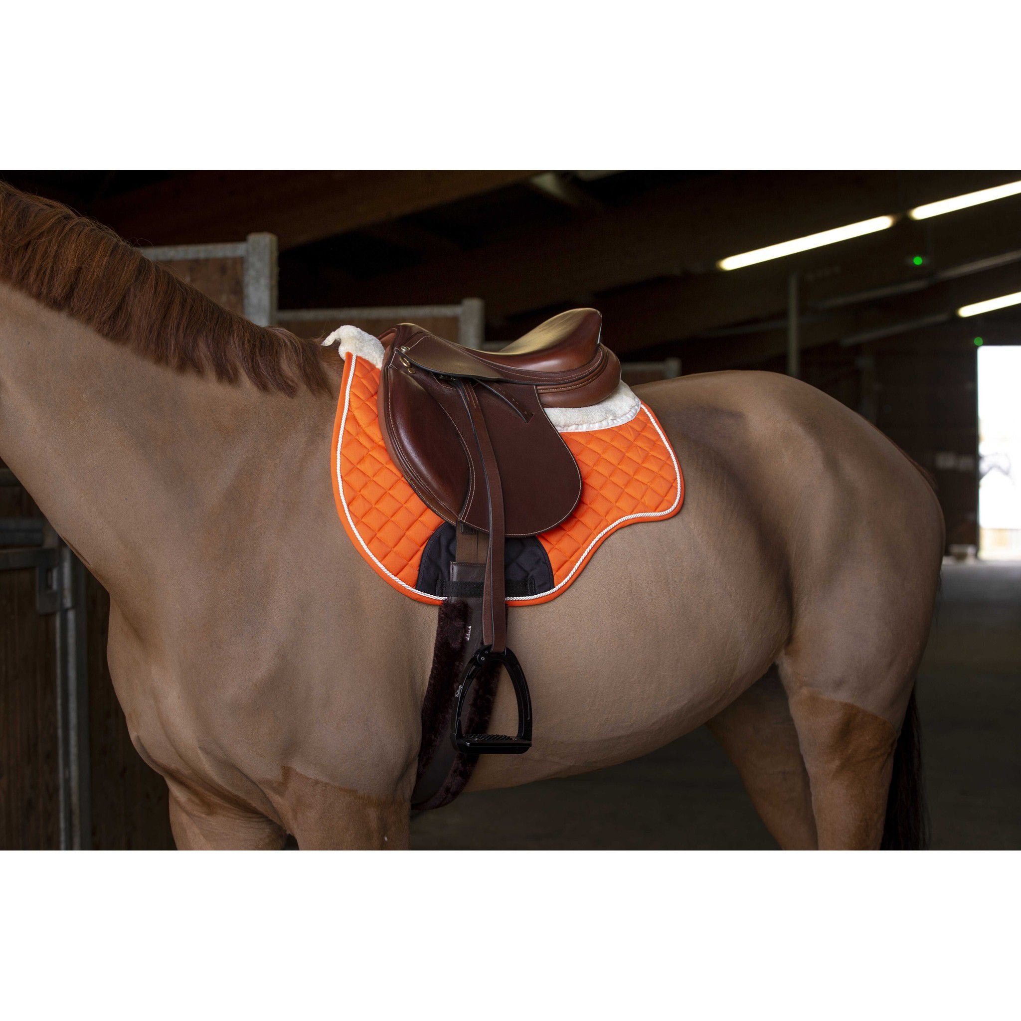 Norton Saddle pad/back pad - All purpose Orange 204384022