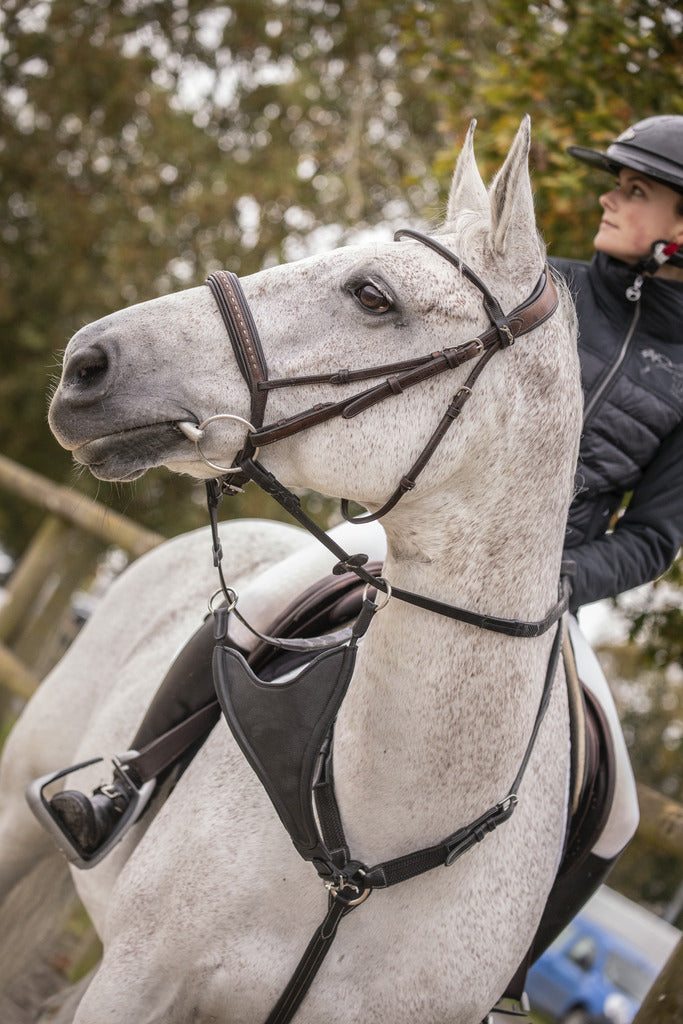 Pénélope Bip Plain Martingale Attachment Black