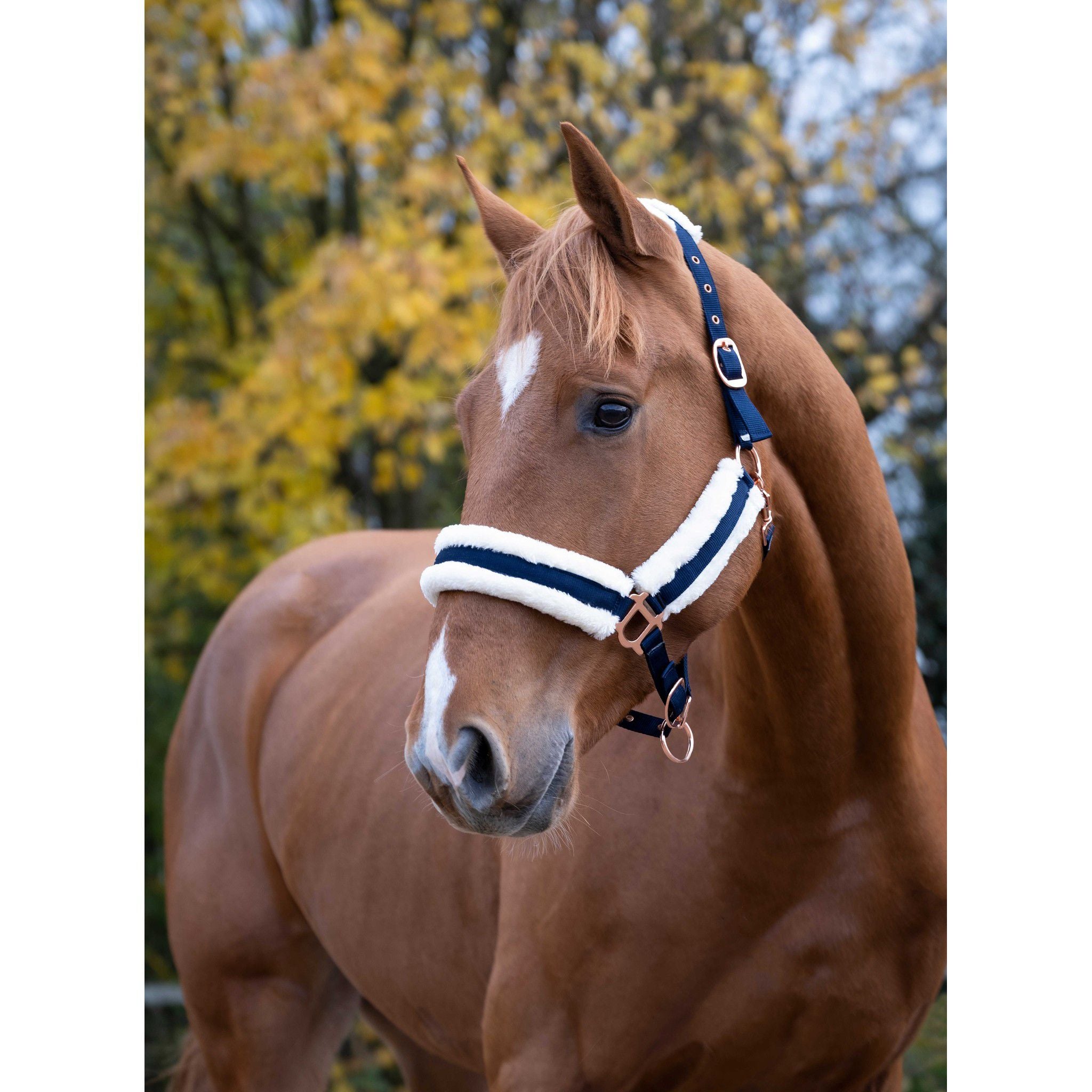 Norton Confort Halter Navy blue 510016307