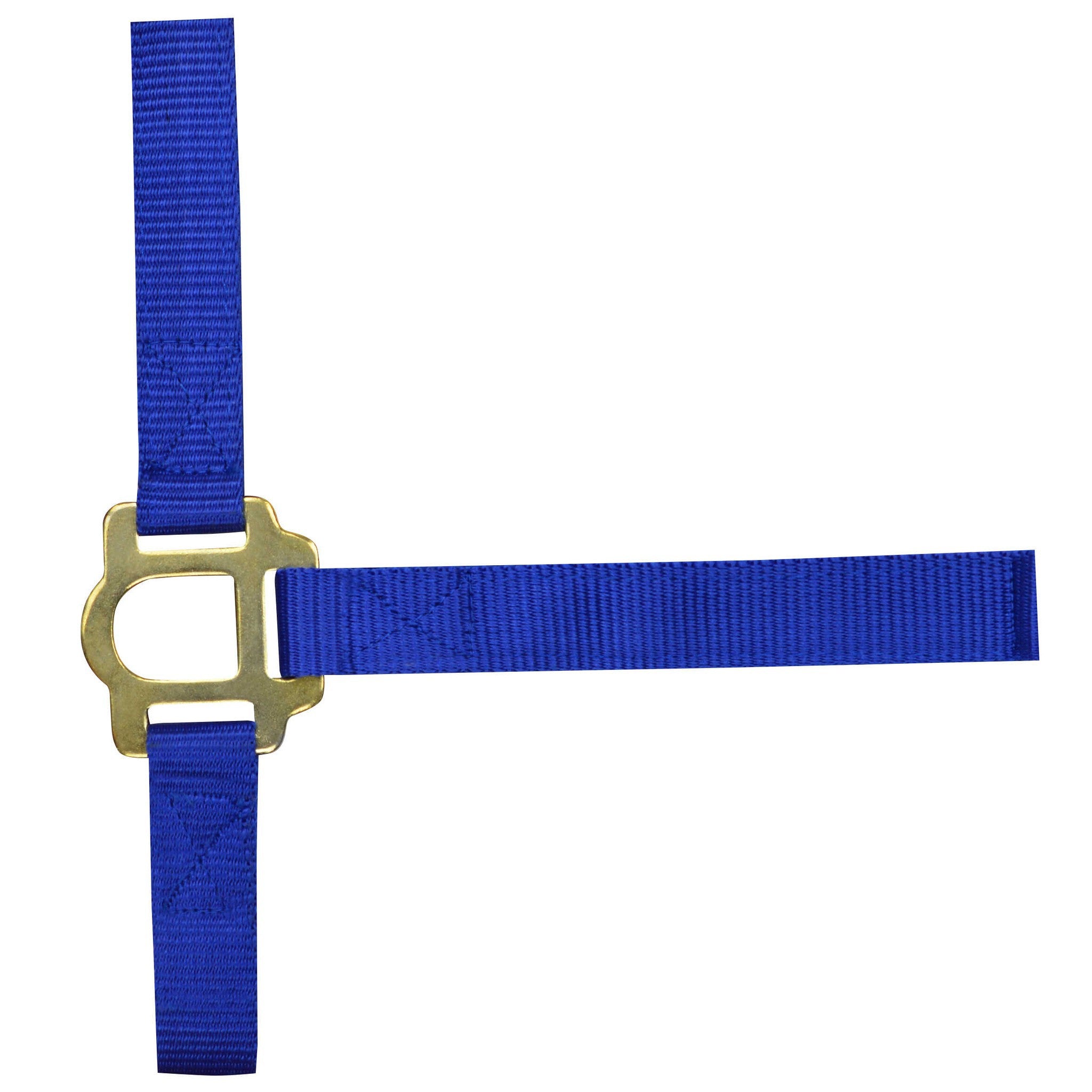 Norton Double thickness nylon headcollar with buckles Royal blue 510041006