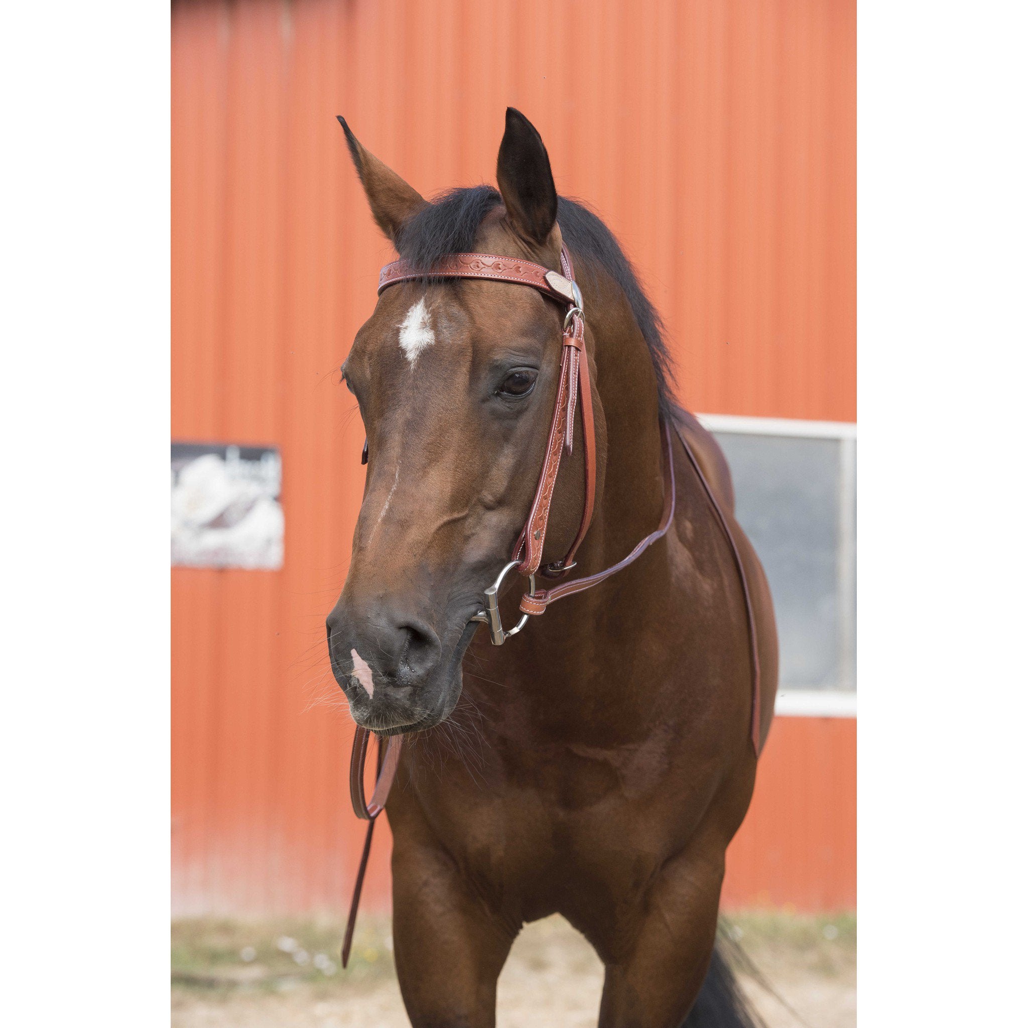 Westride Two Tone bridle Chestnut 802061017