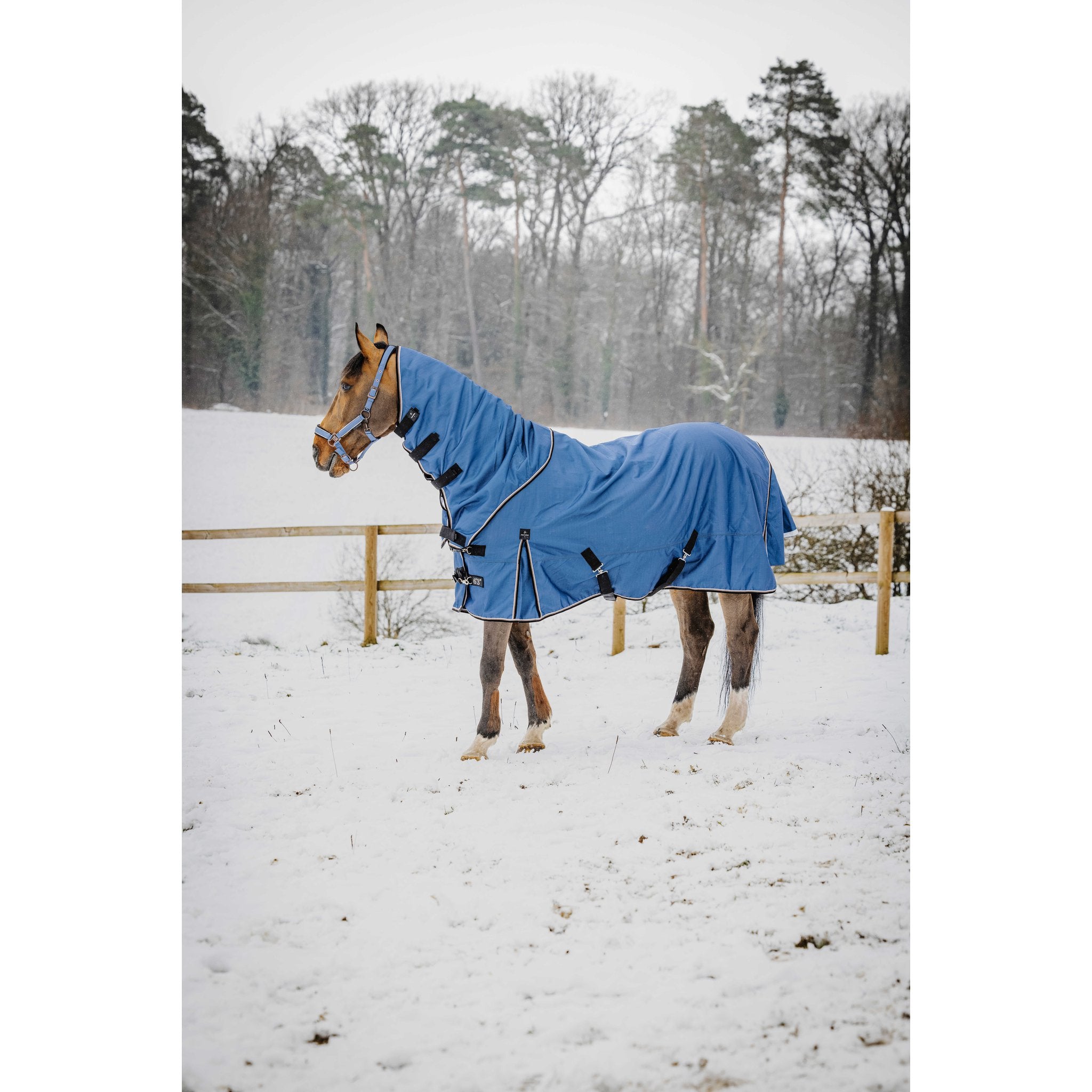 EQUITHÈME TYREX 1200D Comfort Blanket Cobalt Blue - 400596466_ambi_3