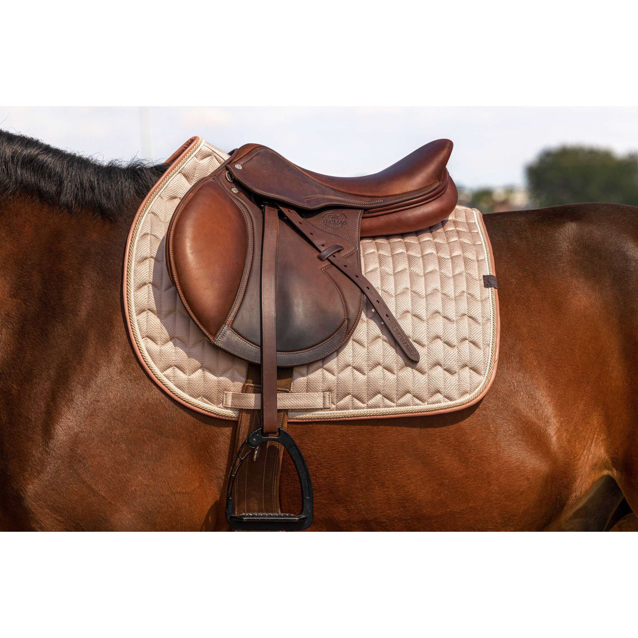 EQUITHÈME Excellence Saddle Pad - All purpose Pink 204012013